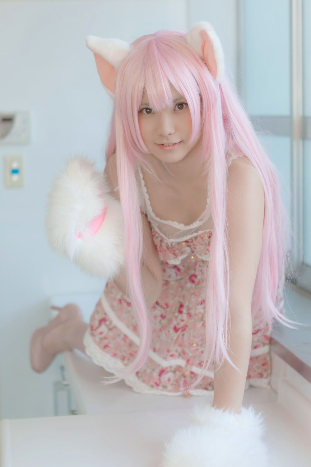 Enako(えなこ)  Necomimi (ネコ耳)(White)-图14