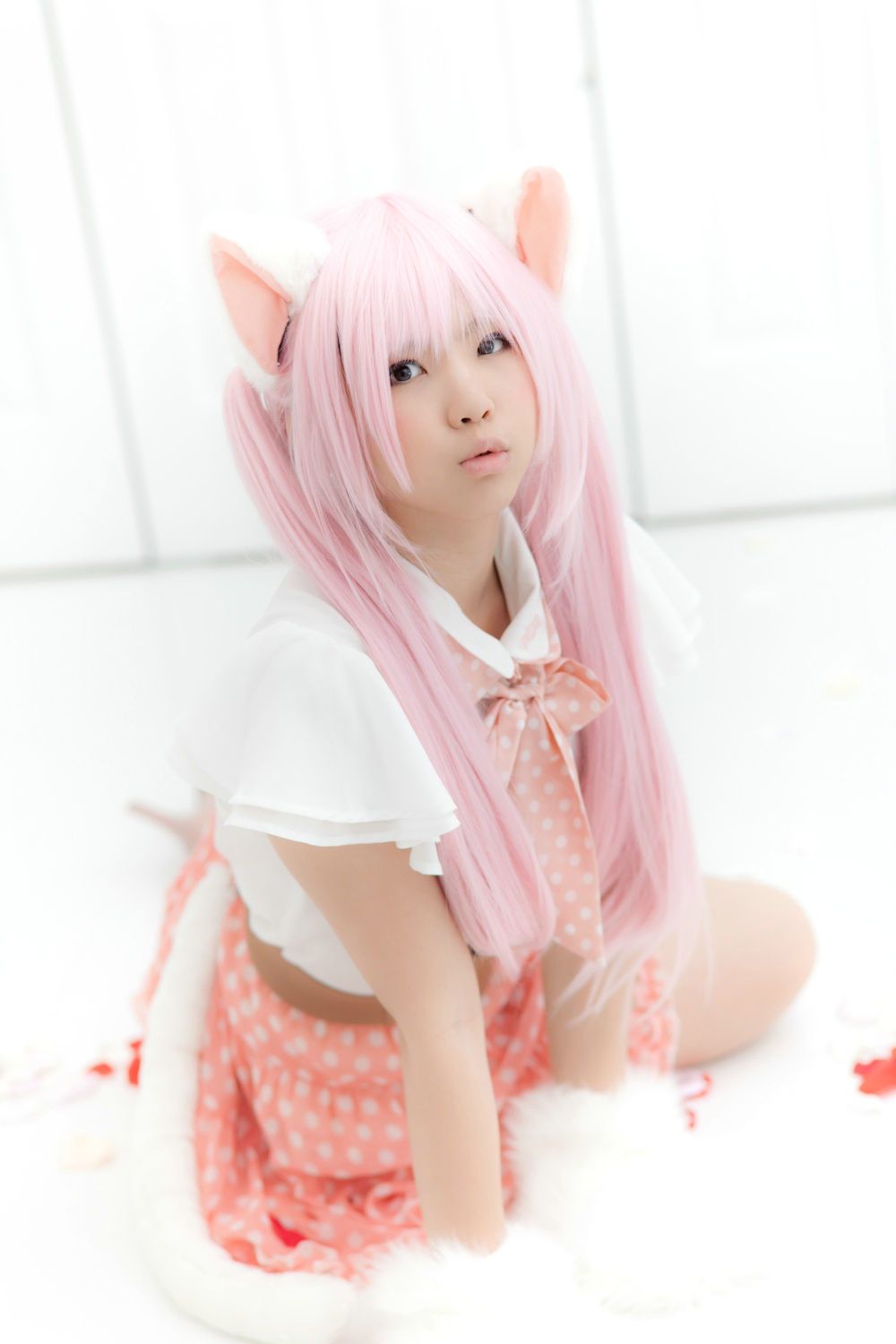 Enako(えなこ)  Necomimi (ネコ耳)(White)-图76