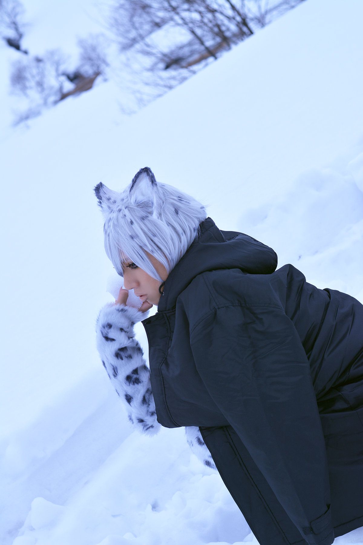 Non (Non SummerJack) Snow Leopard-图95