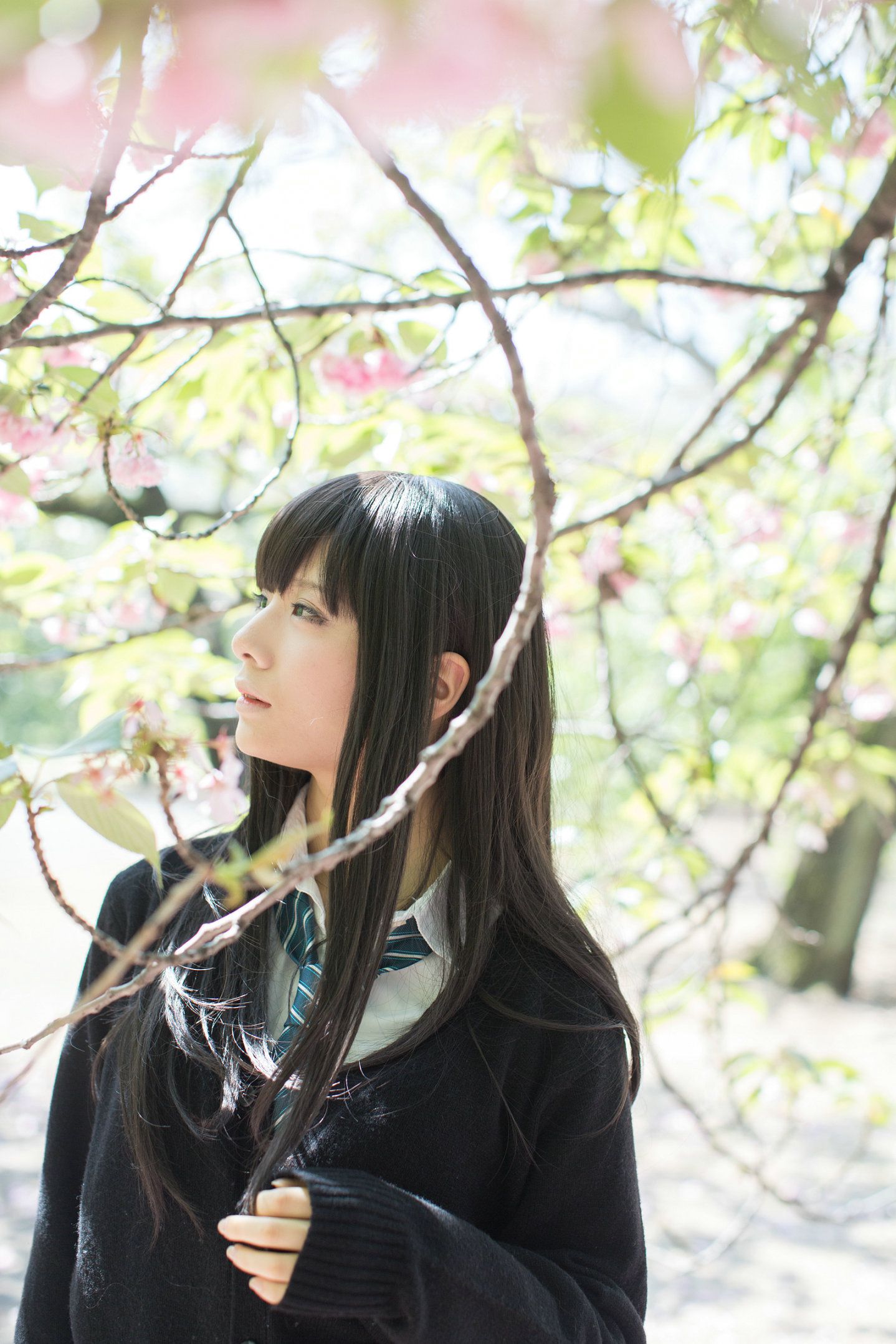 Usakichi(うさ吉) 《Idolmaster》渋谷凛-图79
