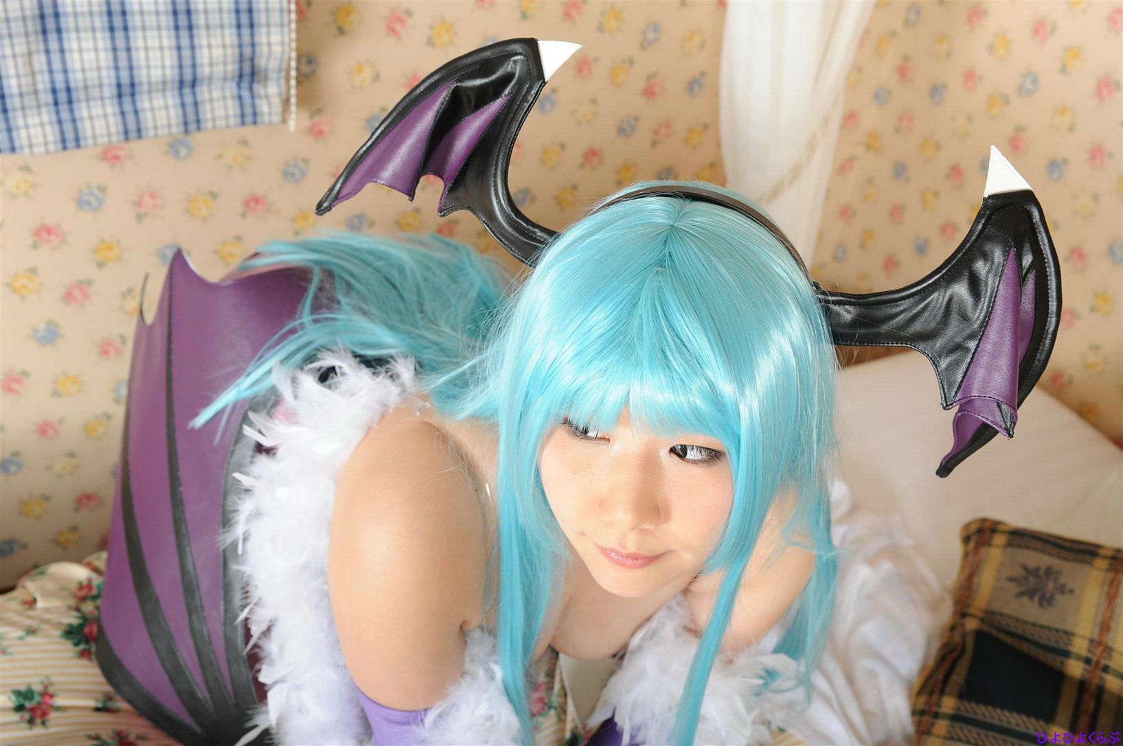 丹雫ひよ (Nishizuku Hiyo) 《Vampire》Morrigan Aensland-图43