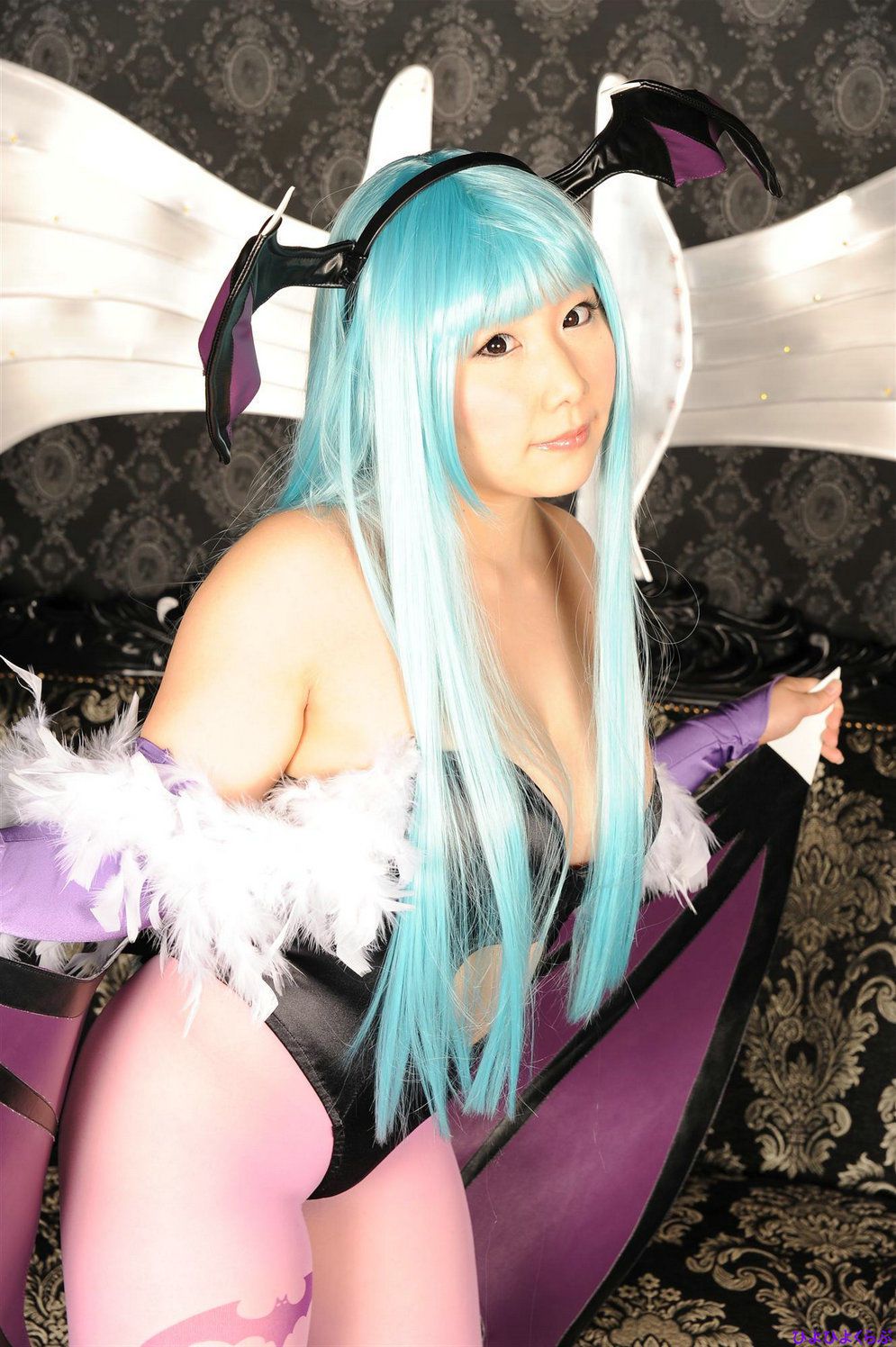 丹雫ひよ (Nishizuku Hiyo) 《Vampire》Morrigan Aensland-图45