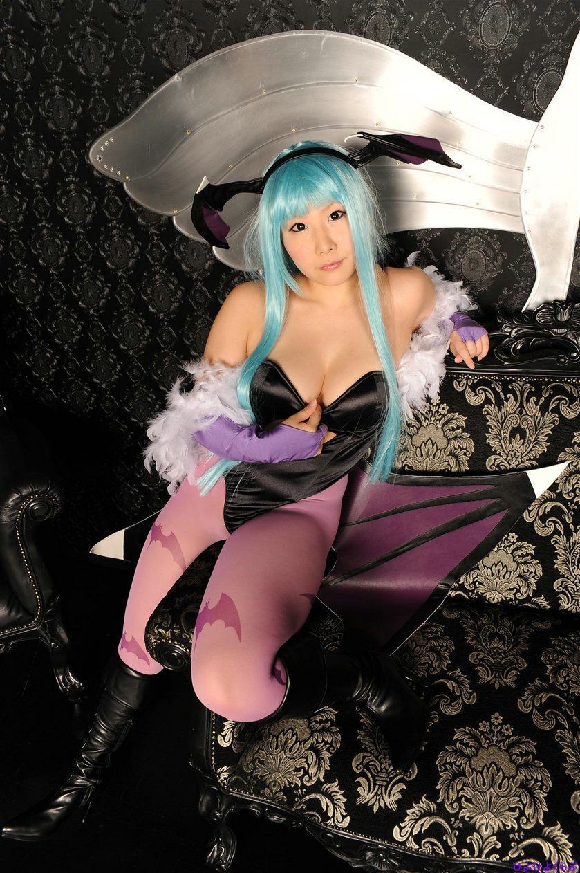 丹雫ひよ (Nishizuku Hiyo) 《Vampire》Morrigan Aensland-图61