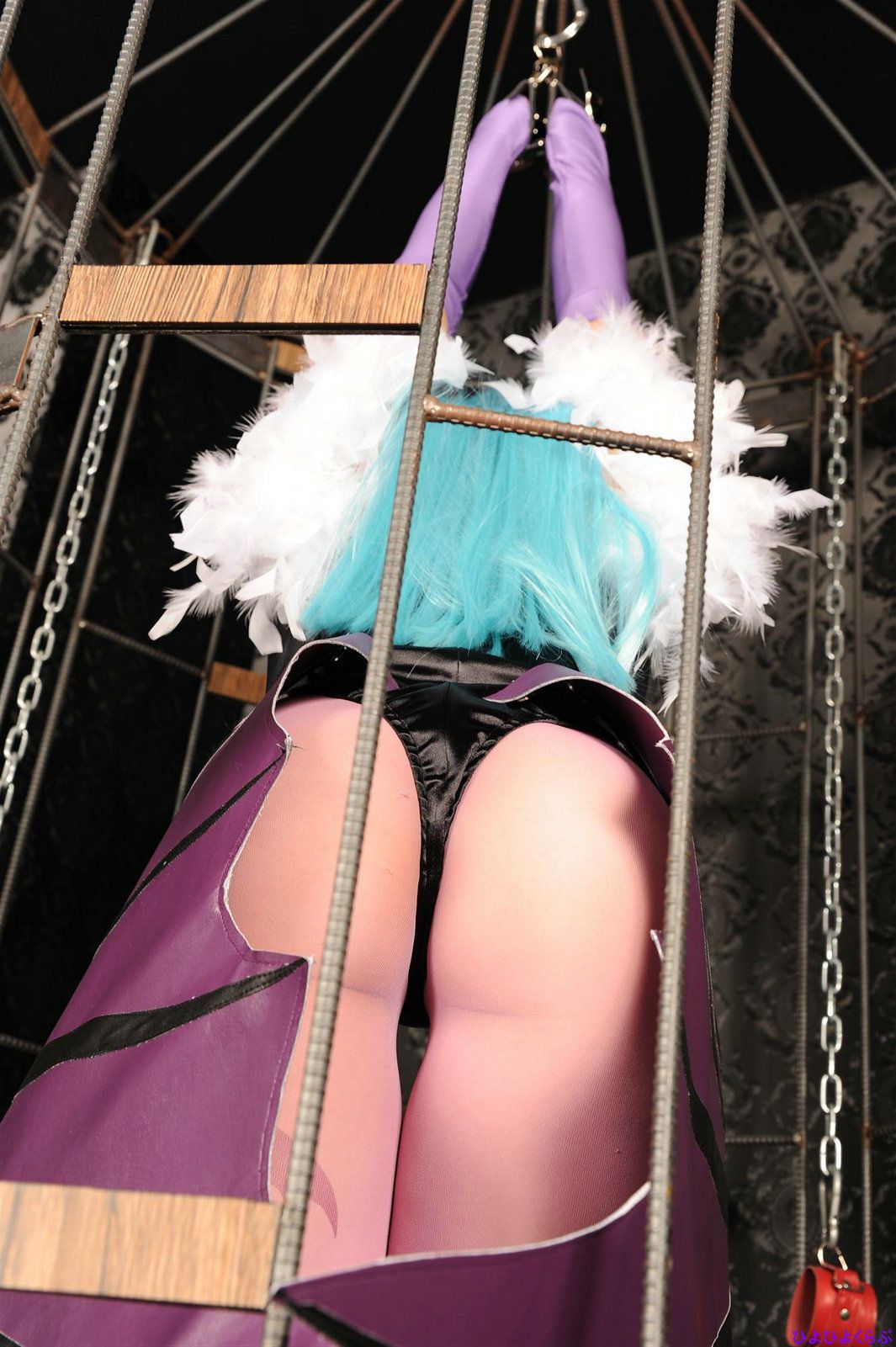 丹雫ひよ (Nishizuku Hiyo) 《Vampire》Morrigan Aensland-图68