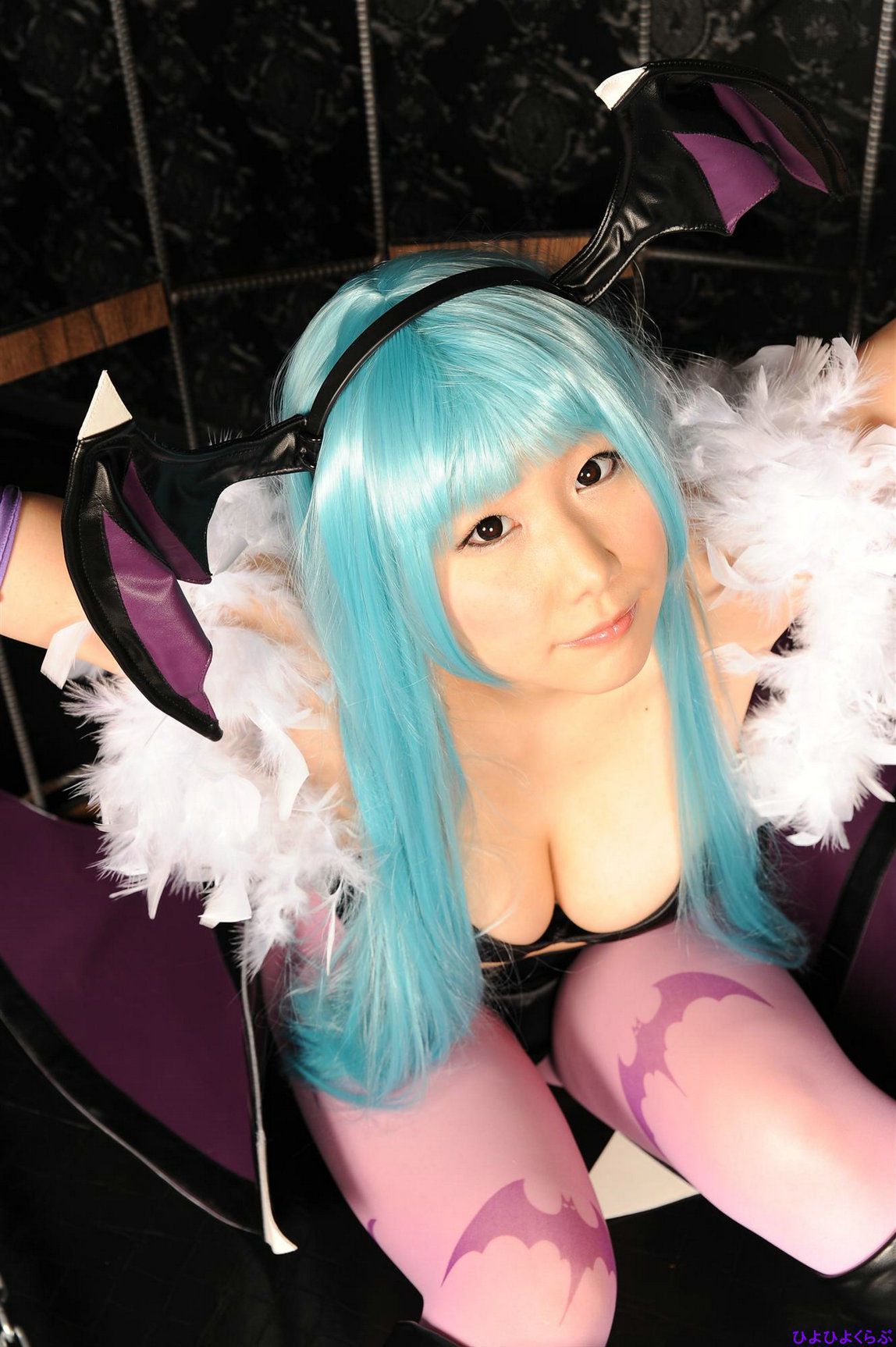 丹雫ひよ (Nishizuku Hiyo) 《Vampire》Morrigan Aensland-图79