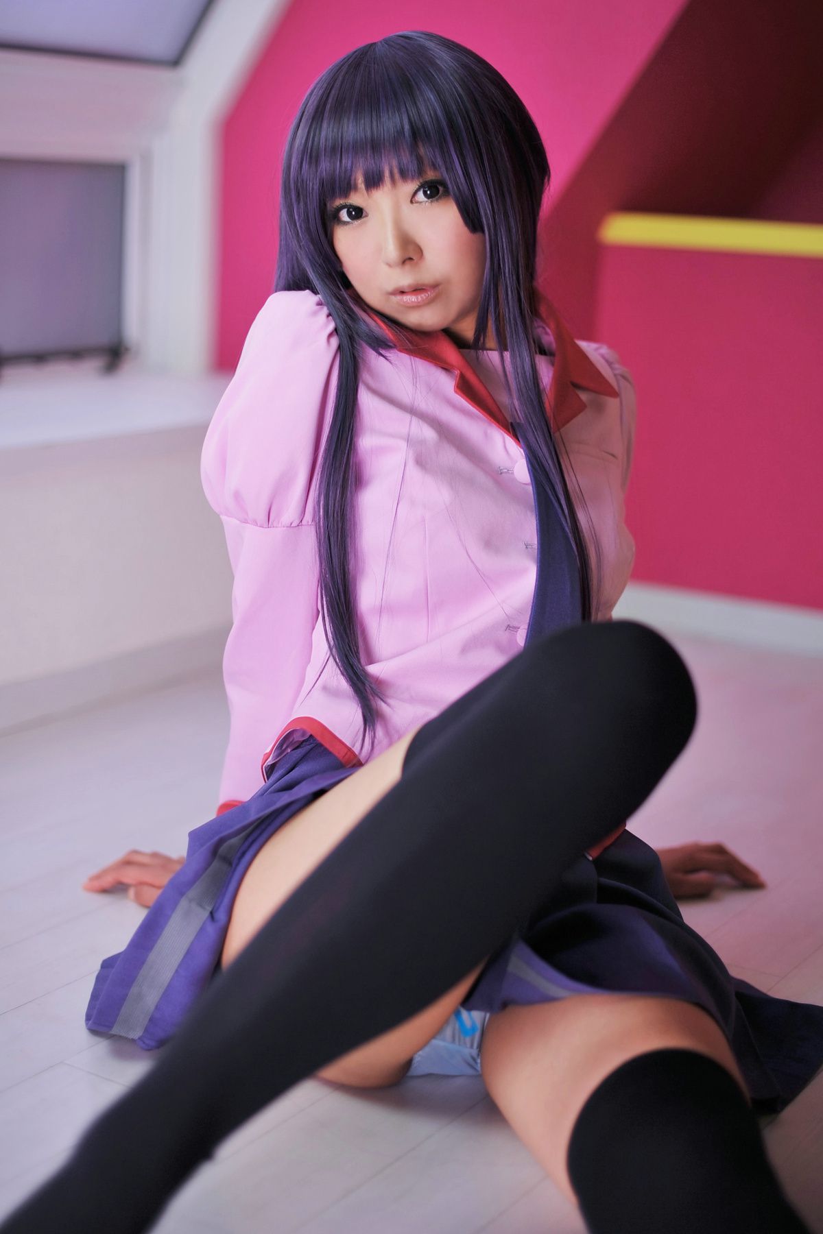 Necoco(ねここ) 《バケモノガタリ》Senjougahara Hitagi & Kanbaru Suruga-图1
