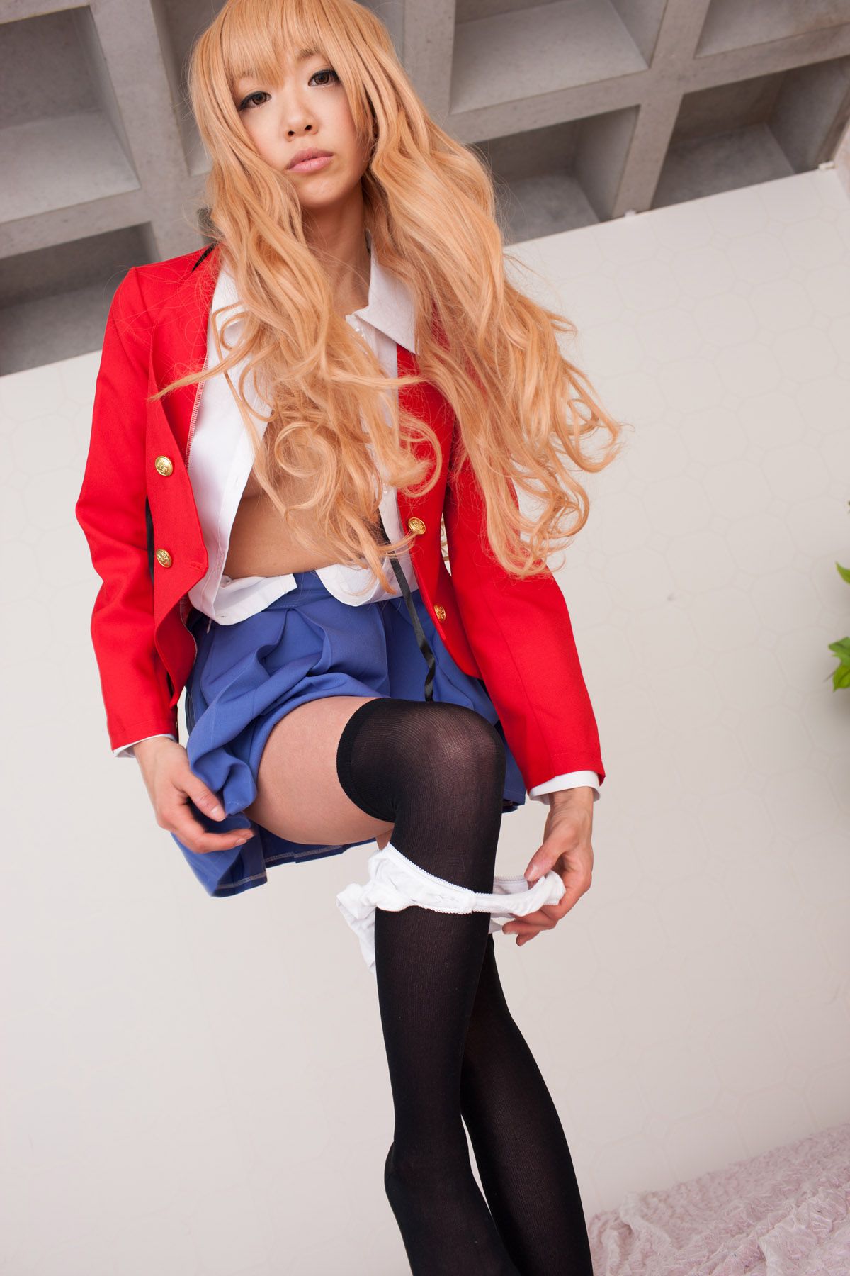 早乙女らぶ  《Toradora!》逢坂大河-图47