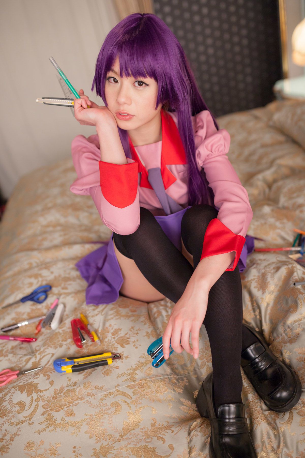 相沢恋 (Aizawa Ren) 《Bakemonogatari(化物語)》Senjougahara Hitagi-图28