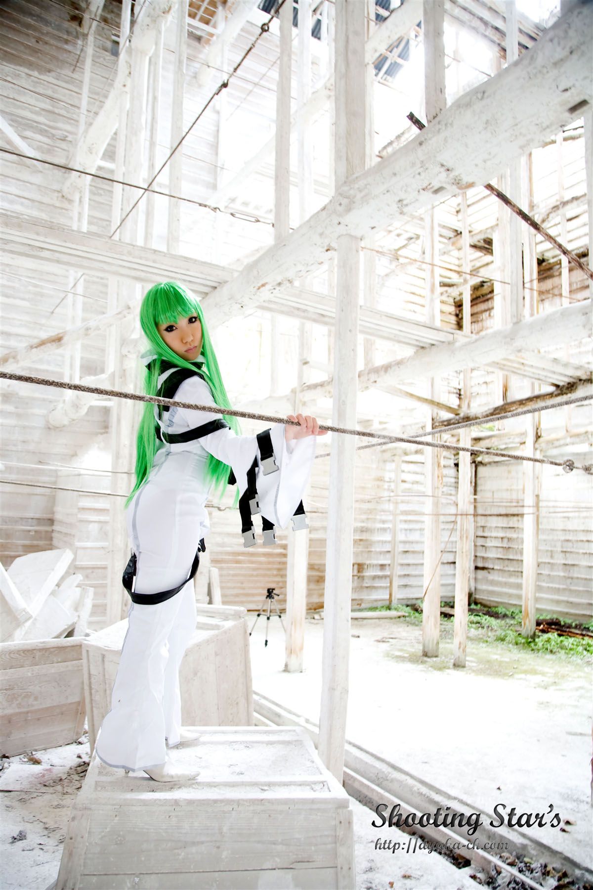绫香サク (Saku サク Saku Ayaka) 《Code Geass(コードギアス)》C.C-图39
