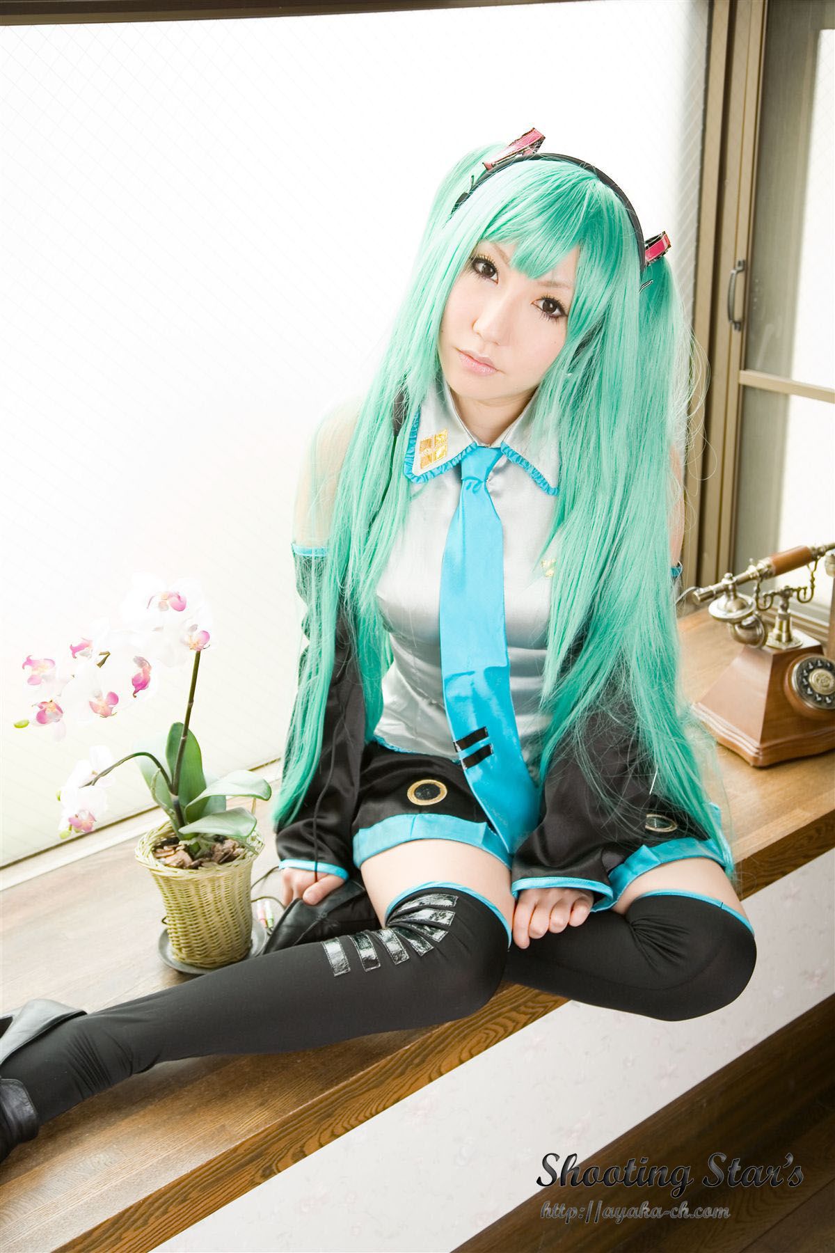 Saku サク 《VOCALOID》Hatsune Miku-图32