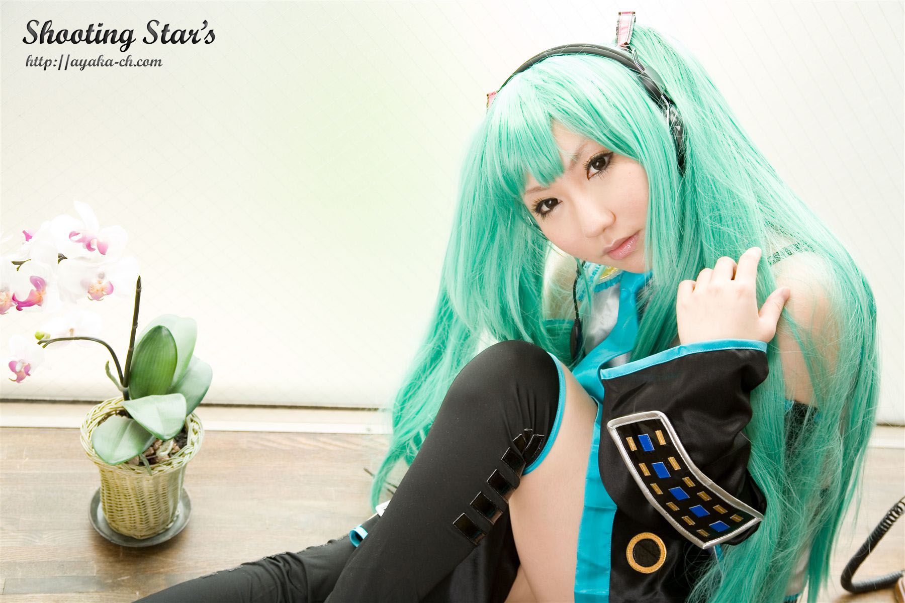 Saku サク 《VOCALOID》Hatsune Miku-图35