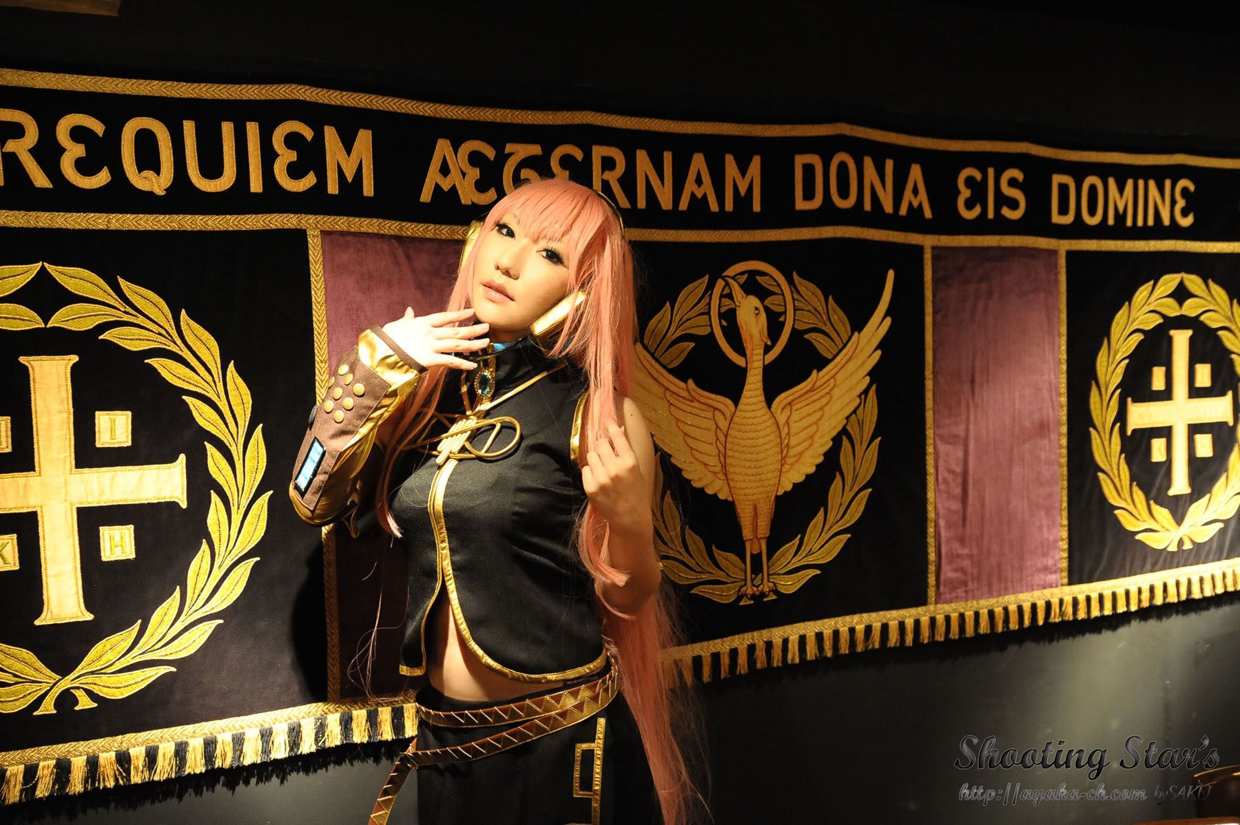 绫香サク 《VOCALOID》 Megurine Luka-图0