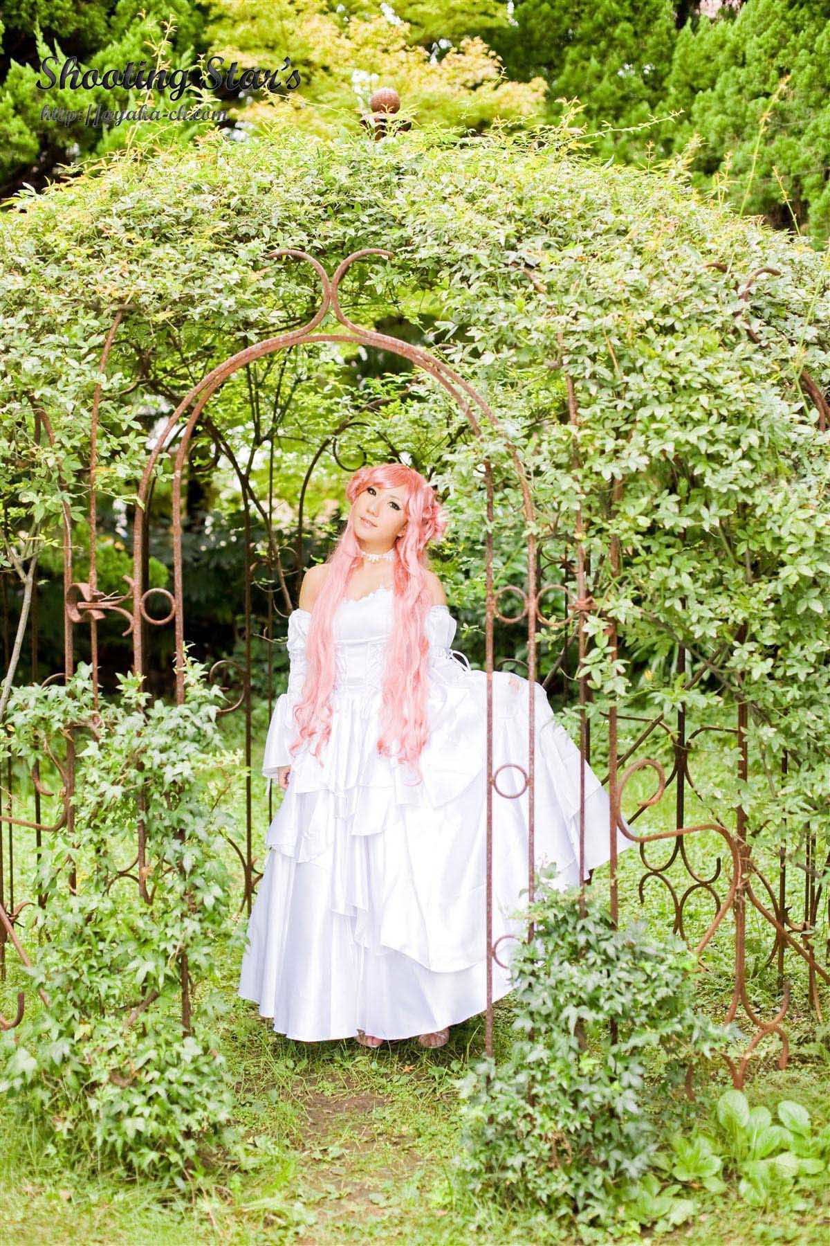绫香サク 《Code Geass》C.C.+Euphemia li Britannia-图55