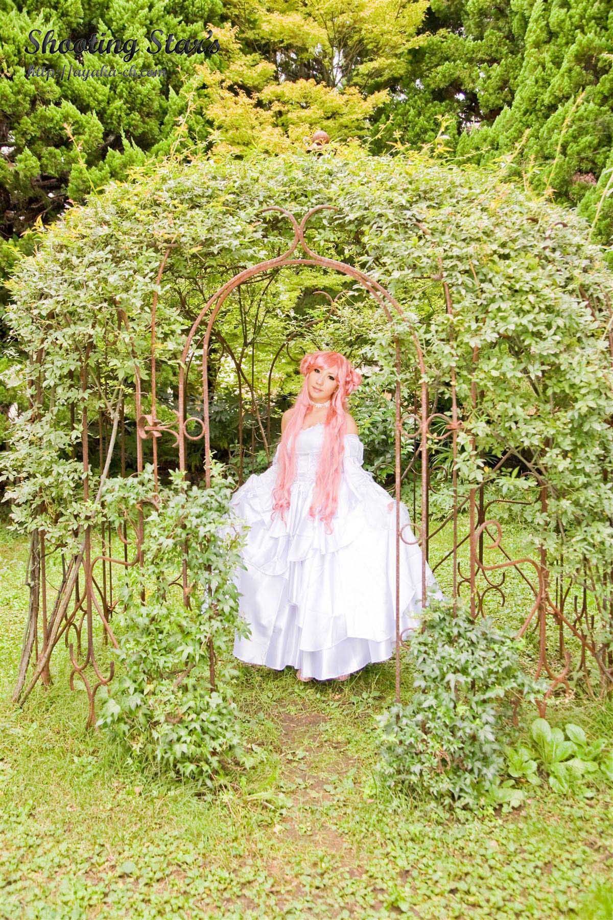 绫香サク 《Code Geass》C.C.+Euphemia li Britannia-图56
