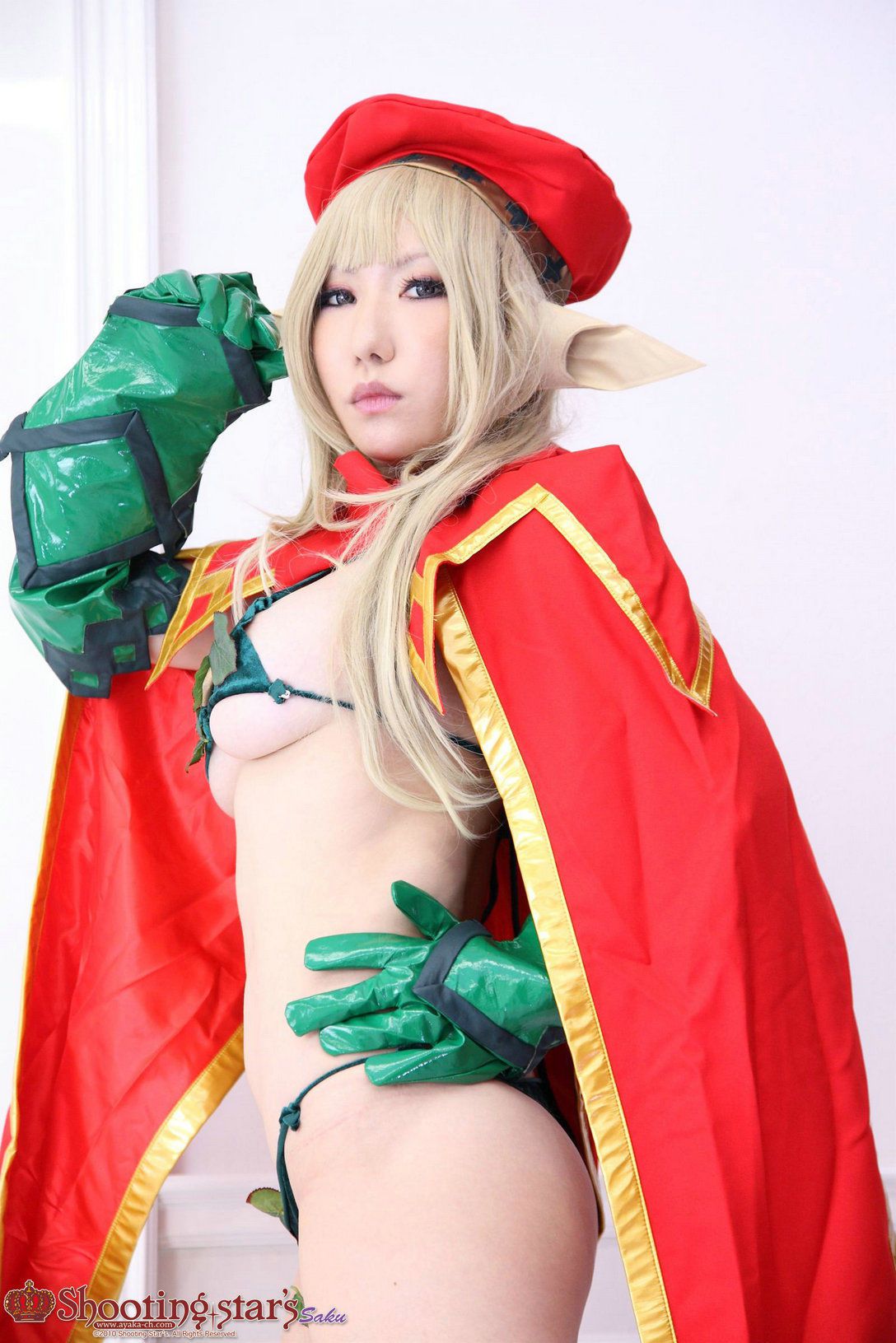 绫香サク (Saku サク Saku Ayaka) 《クイーンズブレイドQueen s Blade》アイリ & Alleyne-图86