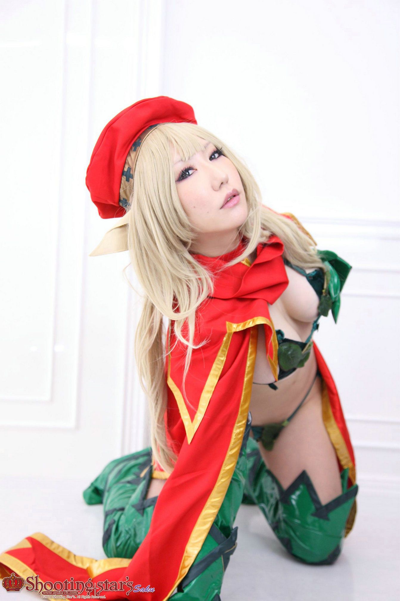 绫香サク (Saku サク Saku Ayaka) 《クイーンズブレイドQueen s Blade》アイリ & Alleyne-图89