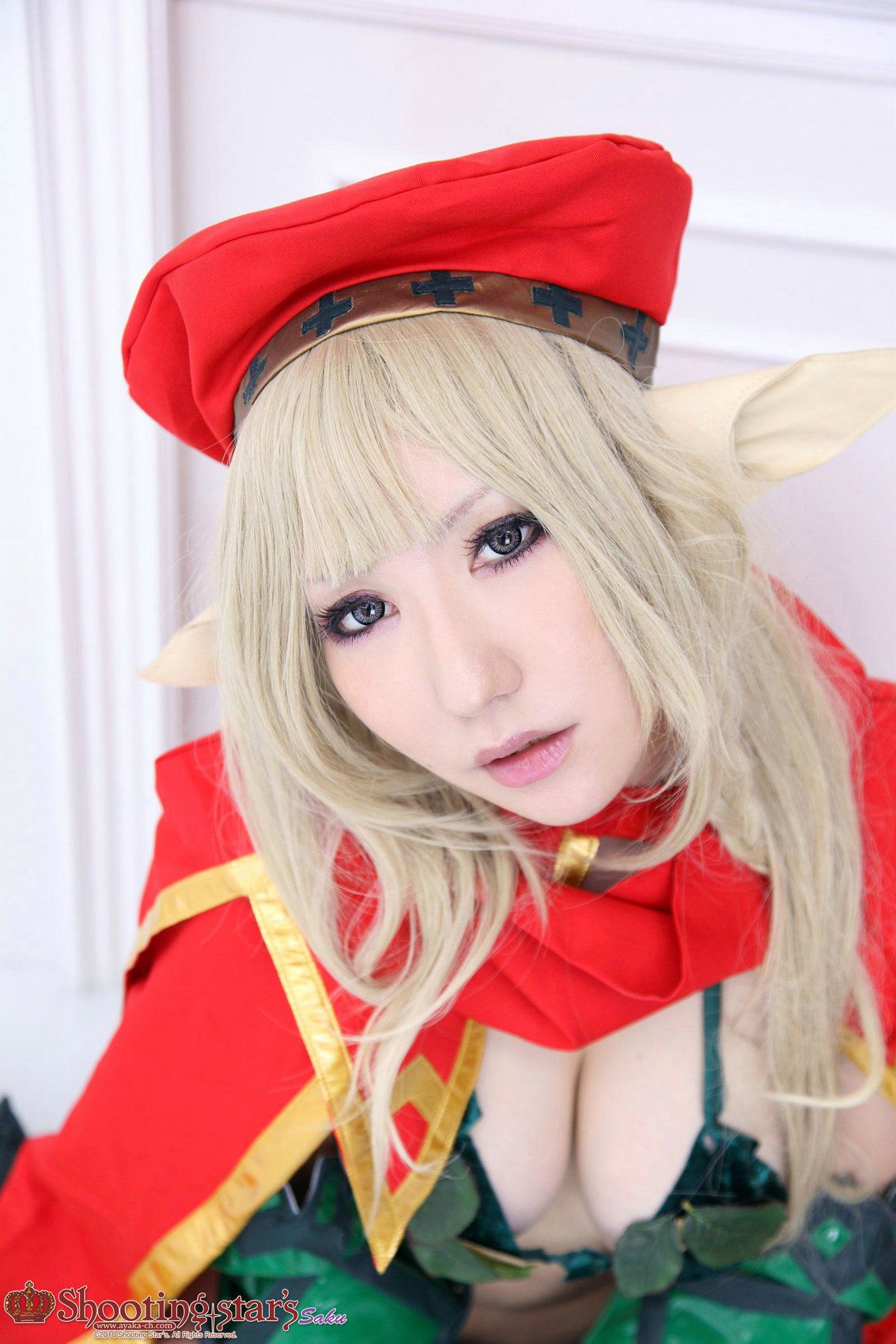 绫香サク (Saku サク Saku Ayaka) 《クイーンズブレイドQueen s Blade》アイリ & Alleyne-图91