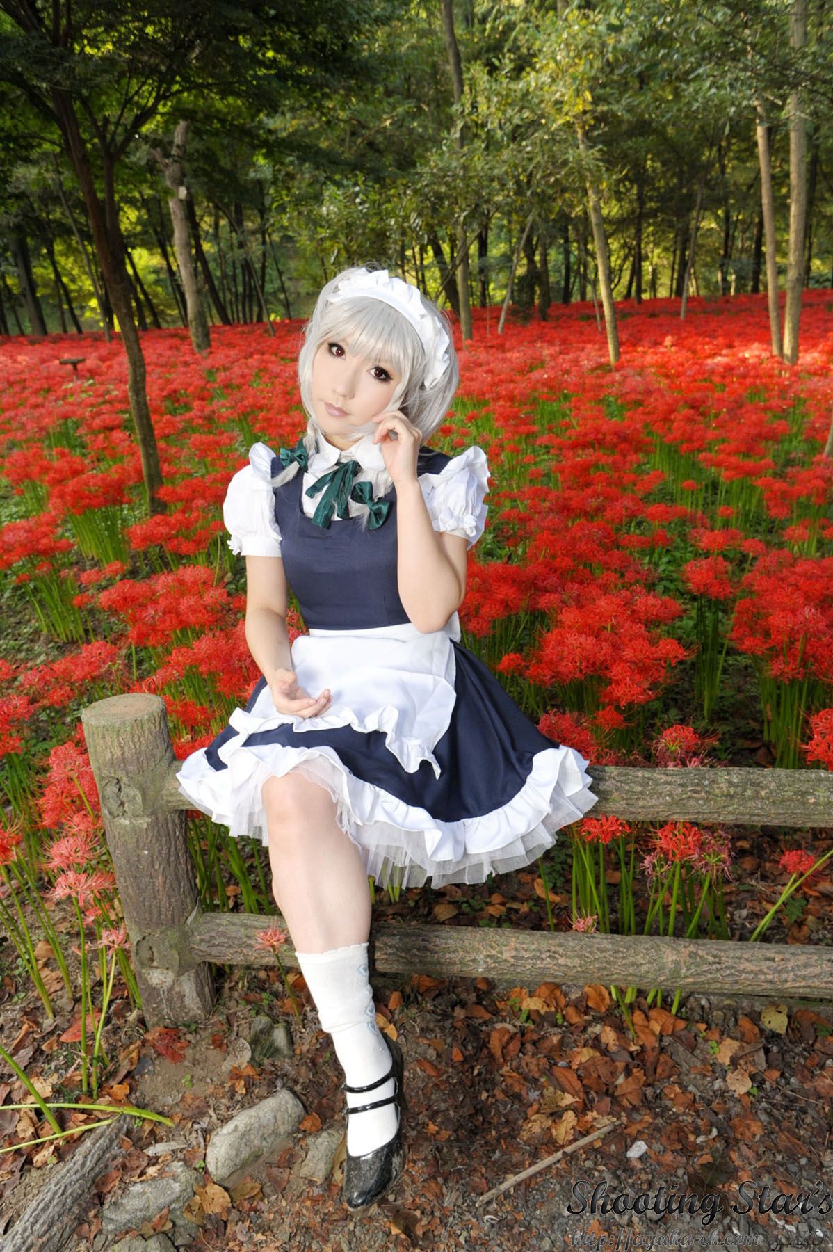 绫香サク (Saku サク Saku Ayaka) 《東方Project》Izayoi Sakuya + Patchouli Knowledge-图114