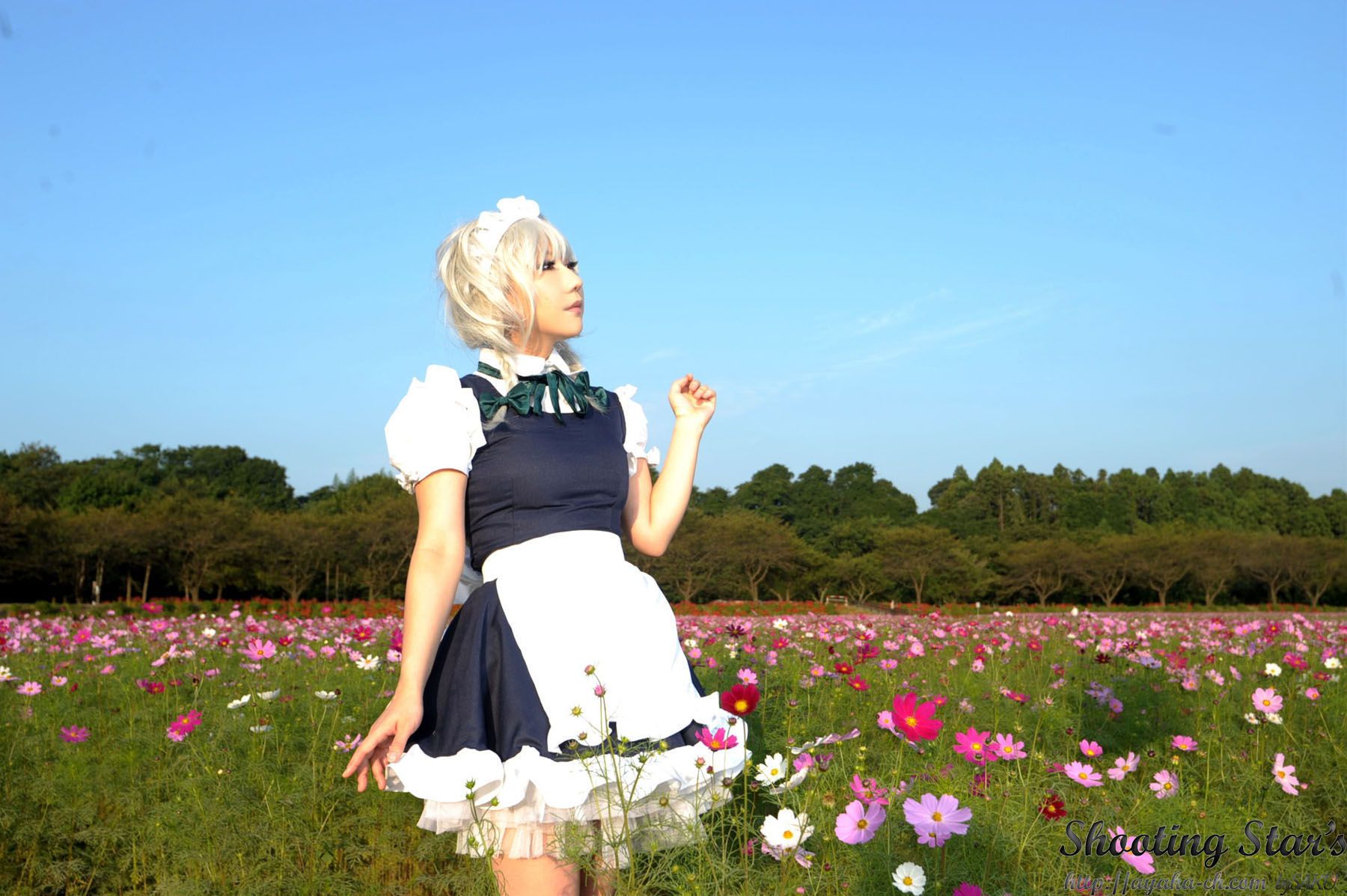 绫香サク (Saku サク Saku Ayaka) 《東方Project》Izayoi Sakuya + Patchouli Knowledge-图87