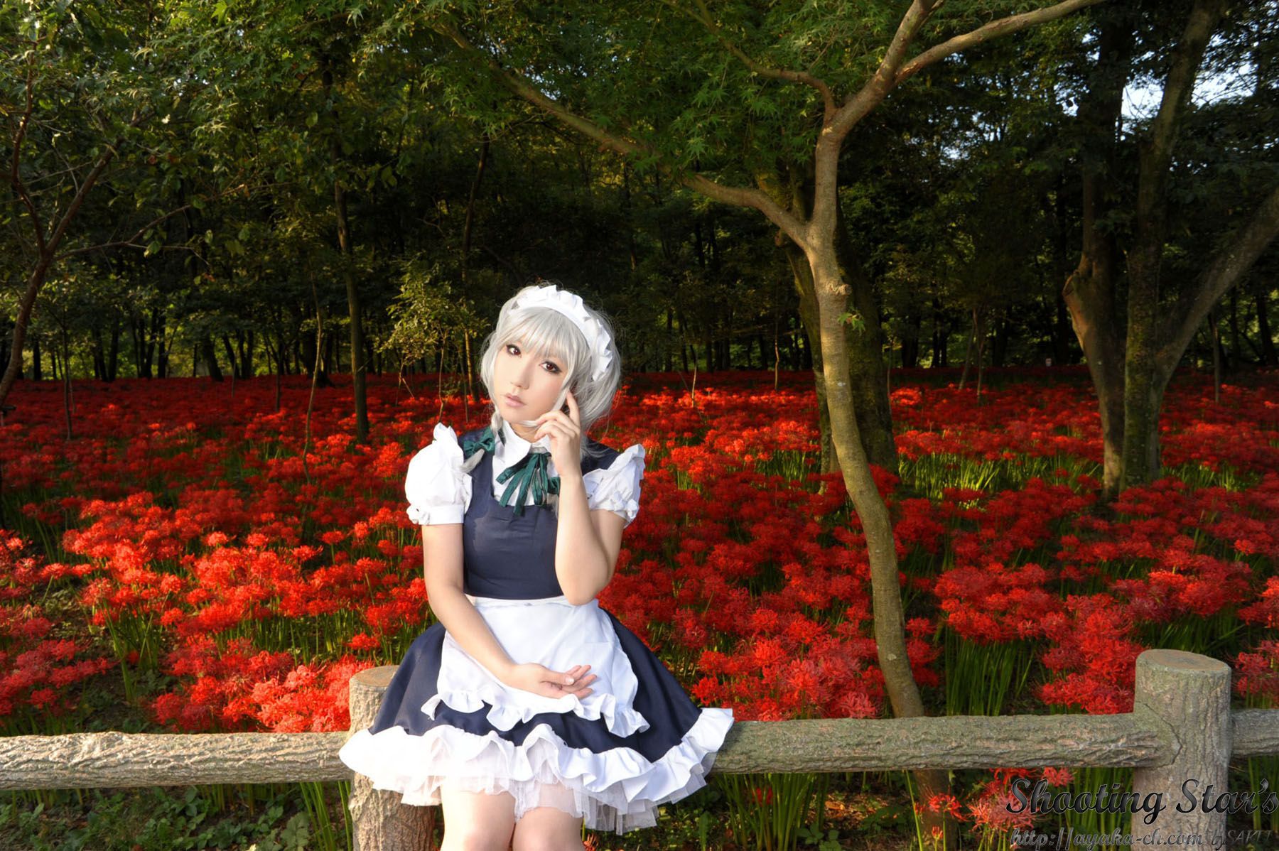 绫香サク (Saku サク Saku Ayaka) 《東方Project》Izayoi Sakuya + Patchouli Knowledge-图89