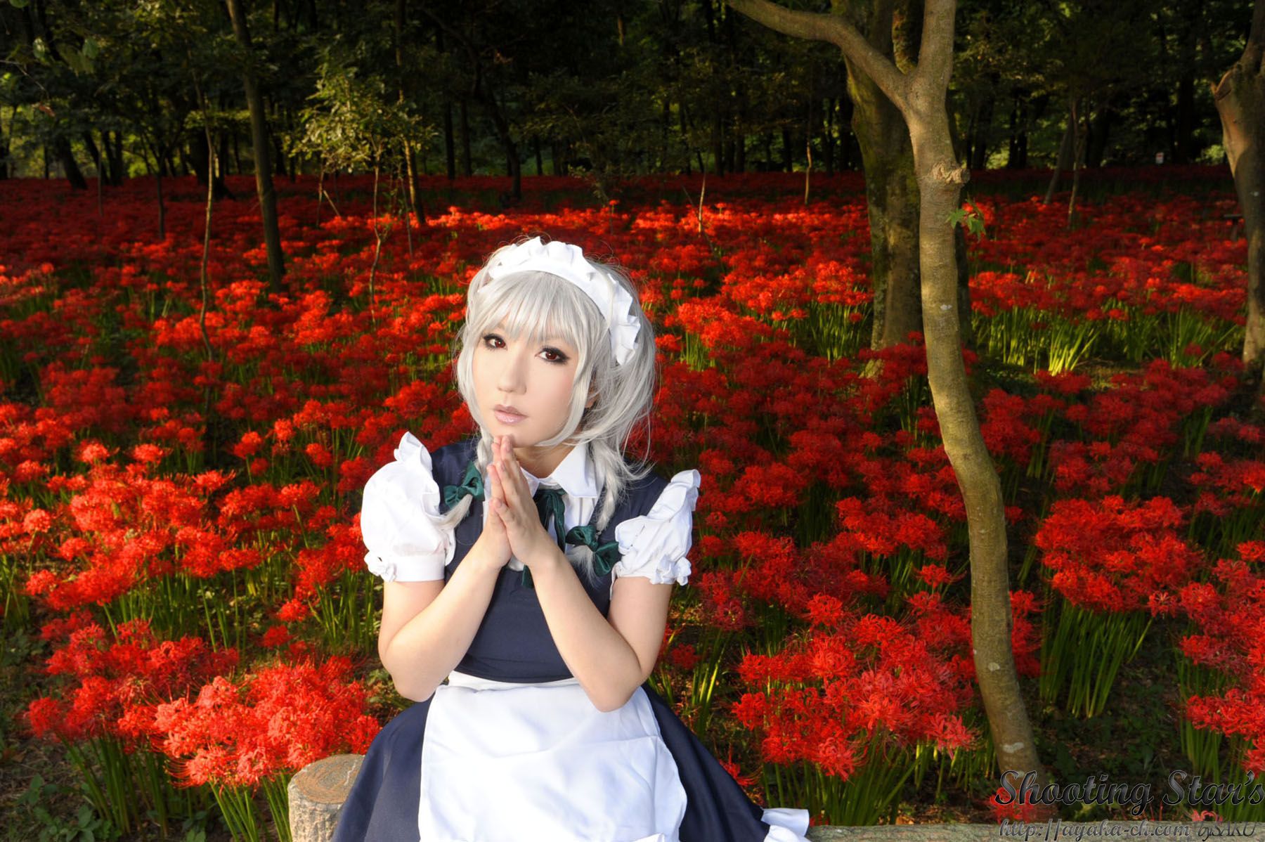 绫香サク (Saku サク Saku Ayaka) 《東方Project》Izayoi Sakuya + Patchouli Knowledge-图90