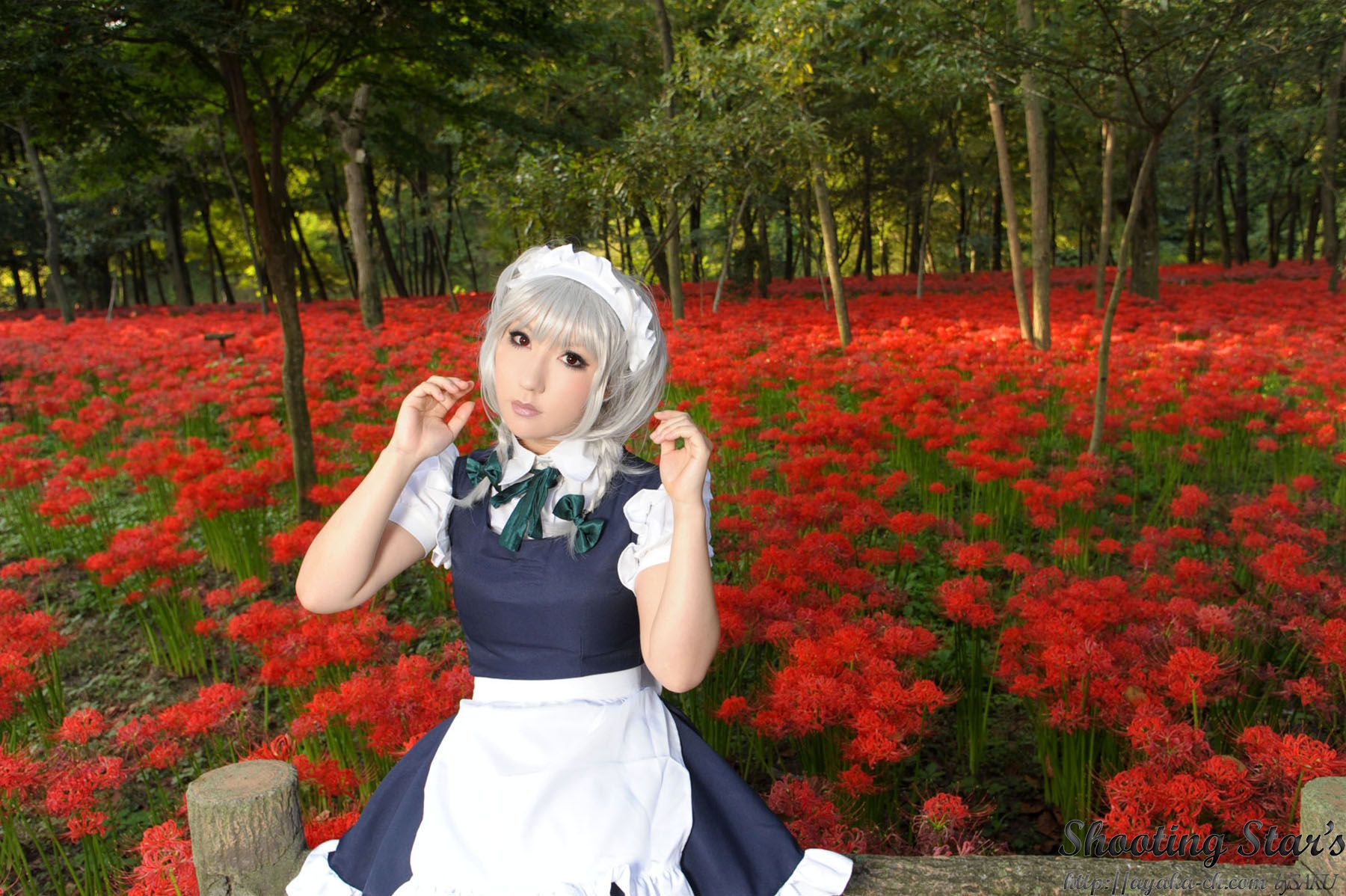 绫香サク (Saku サク Saku Ayaka) 《東方Project》Izayoi Sakuya + Patchouli Knowledge-图91