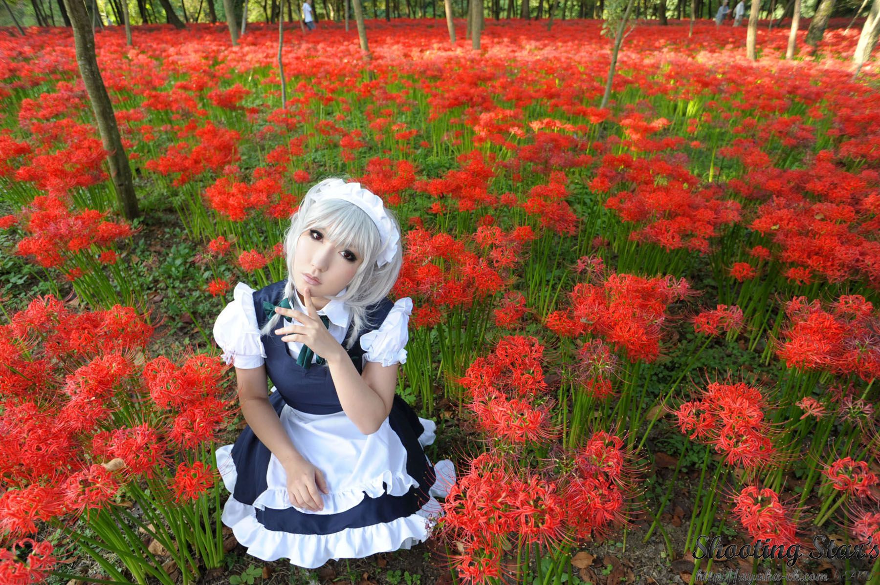 绫香サク (Saku サク Saku Ayaka) 《東方Project》Izayoi Sakuya + Patchouli Knowledge-图95