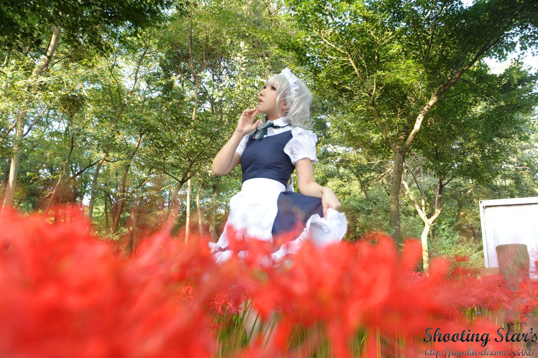 绫香サク (Saku サク Saku Ayaka) 《東方Project》Izayoi Sakuya + Patchouli Knowledge-图97