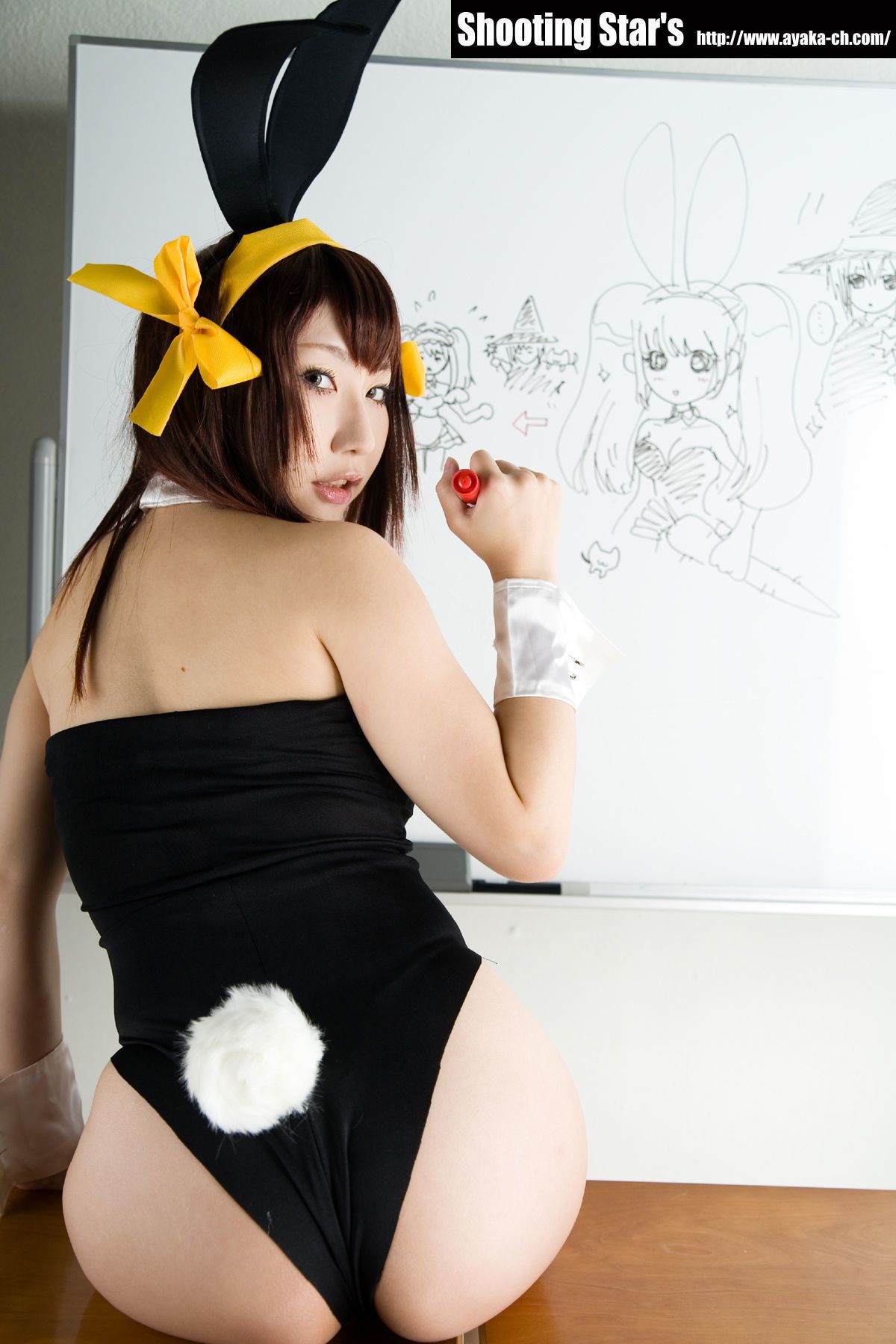 サク Saku Ayaka 《涼宮ハルヒの憂鬱》 ハルヒバニー-图53