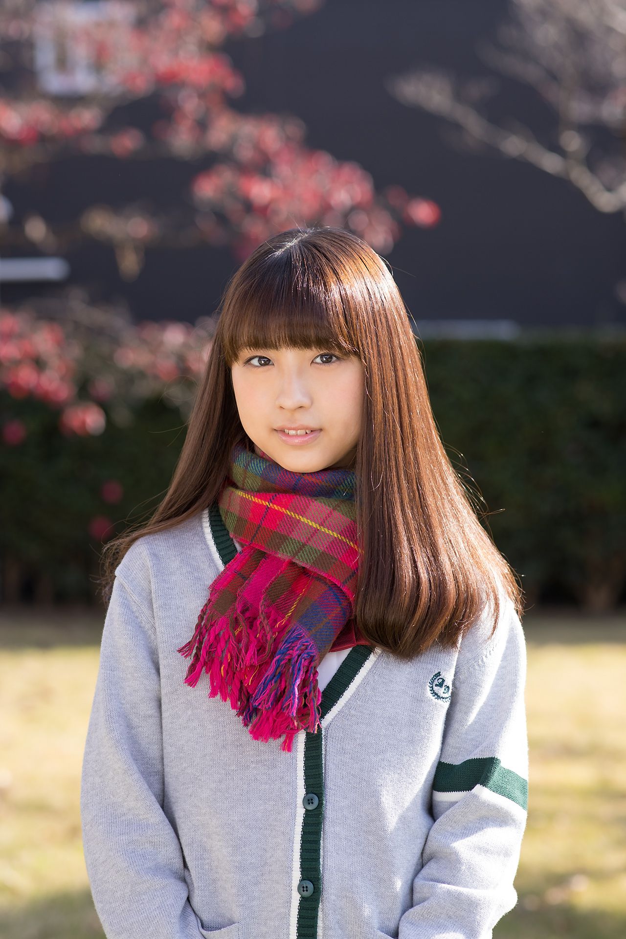 Nagisa Ikeda 池田なぎさ - Regular Gallery 5.1-图5