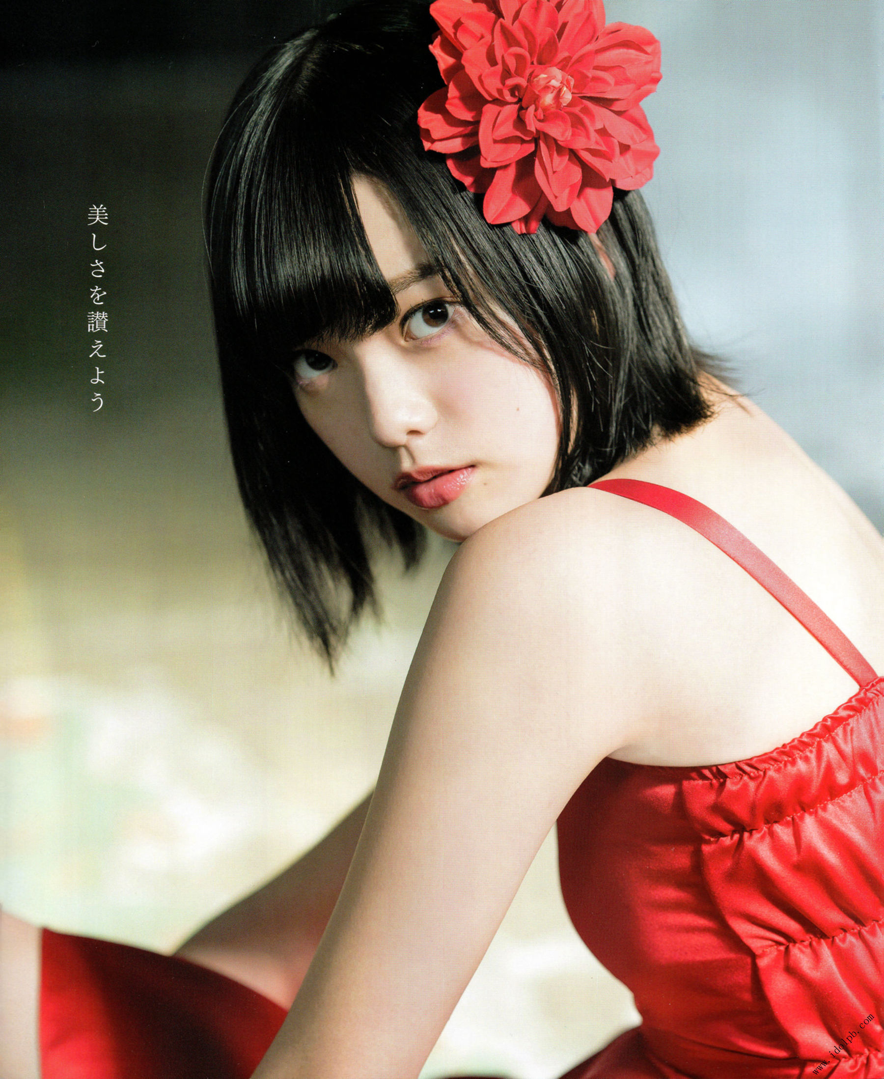 2017年02月号 平手友梨奈 志田爱佳 菅井友香-图0