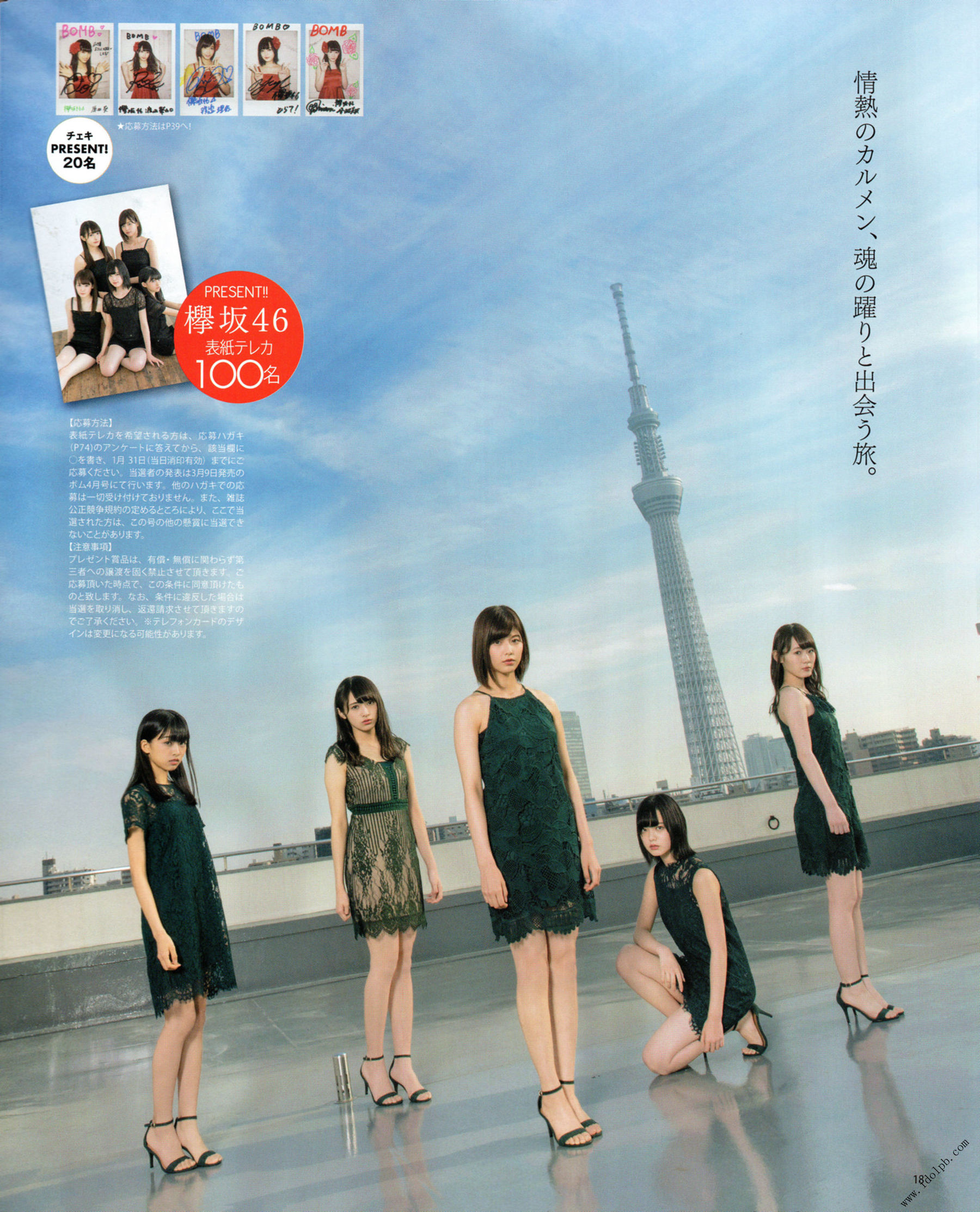 2017年02月号 平手友梨奈 志田爱佳 菅井友香-图9