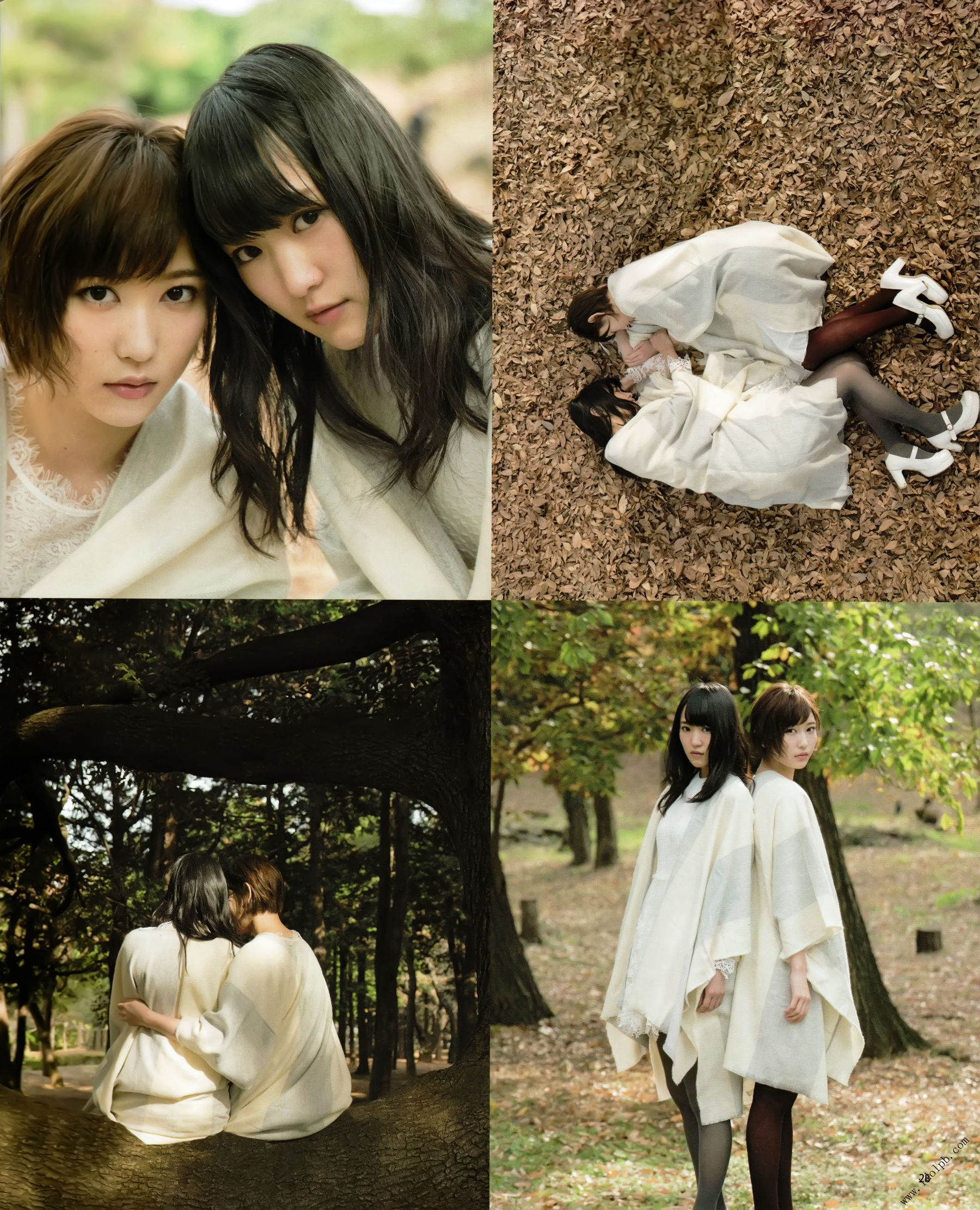 2017年02月号 平手友梨奈 志田爱佳 菅井友香-图12