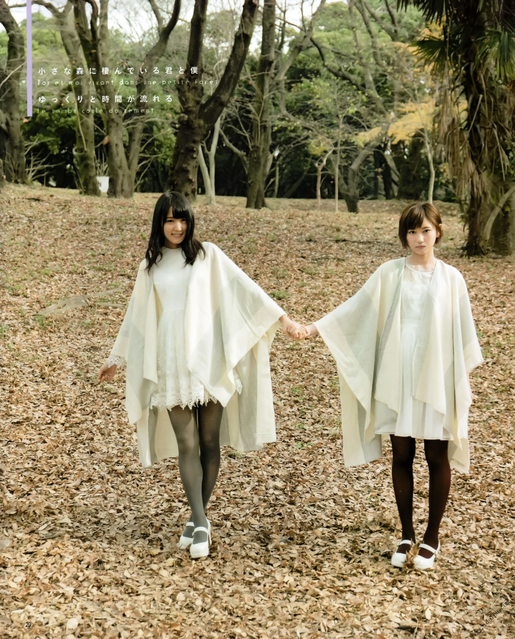 2017年02月号 平手友梨奈 志田爱佳 菅井友香-图13