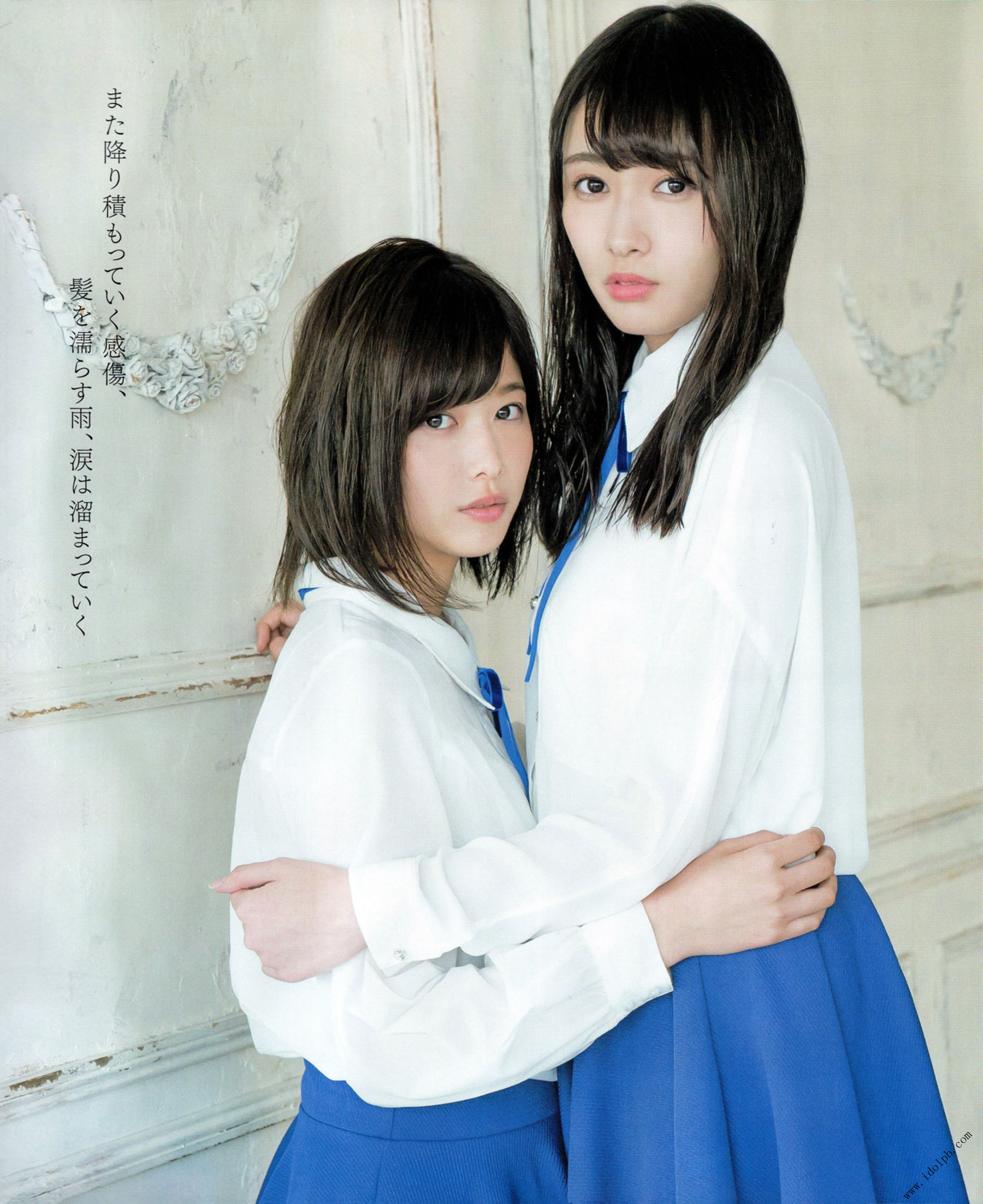 2017年02月号 平手友梨奈 志田爱佳 菅井友香-图21
