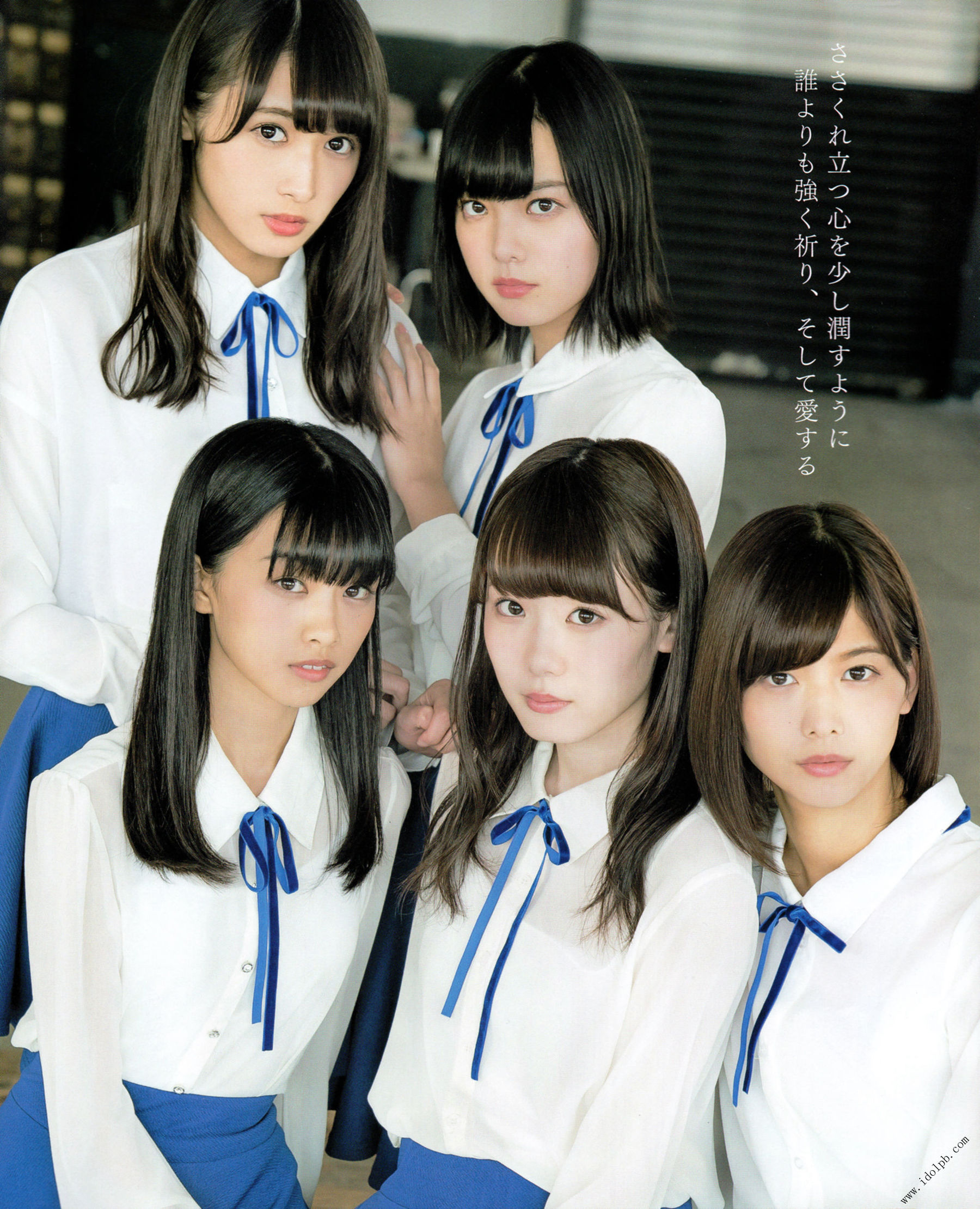 2017年02月号 平手友梨奈 志田爱佳 菅井友香-图3