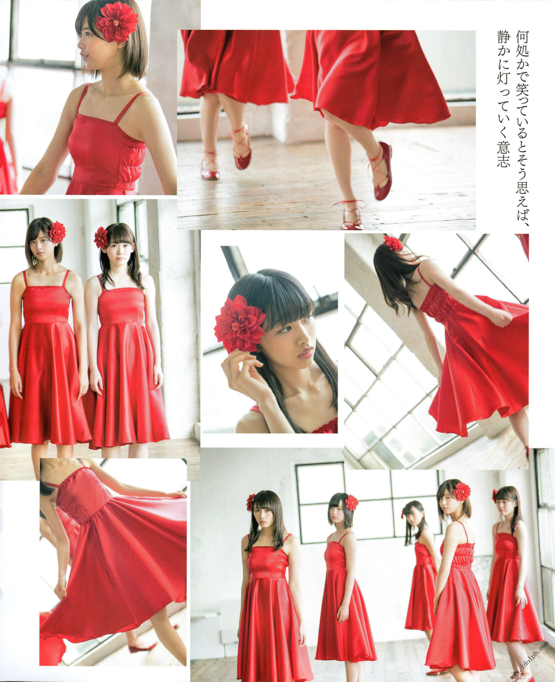 2017年02月号 平手友梨奈 志田爱佳 菅井友香-图4