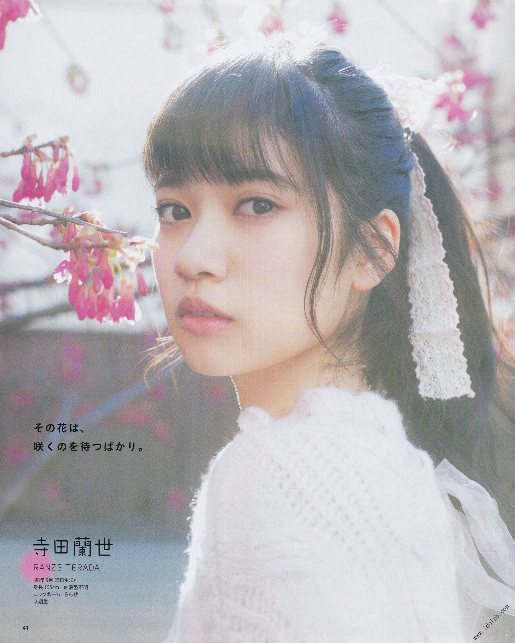 2017年04月号 加藤史帆 佐々木美铃 齊藤京子 寺田蘭世 田口爱佳 菅井友香 守屋茜-图11
