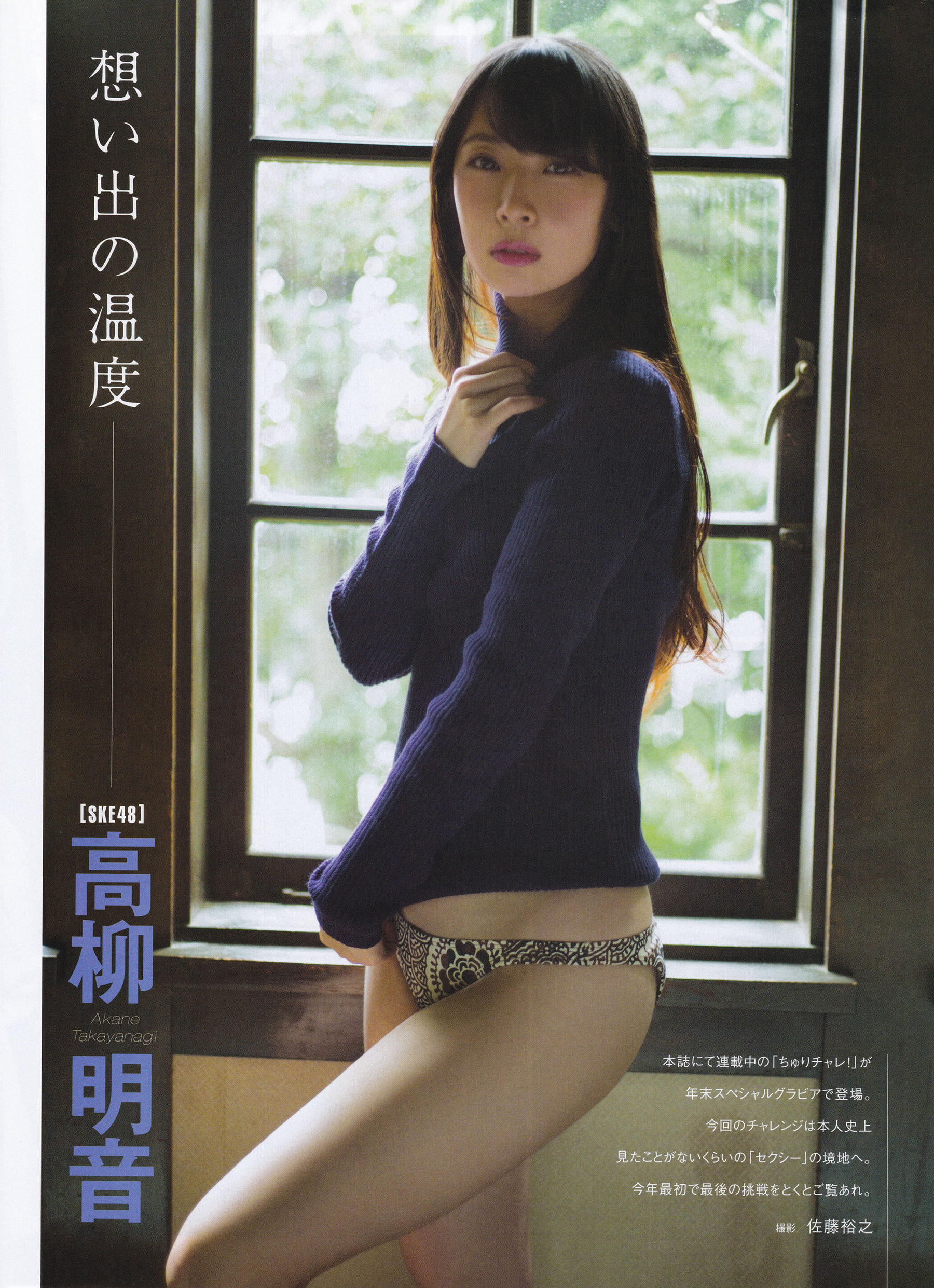 2016年02月号 向井地美音 乃木坂46 高柳明音-图36