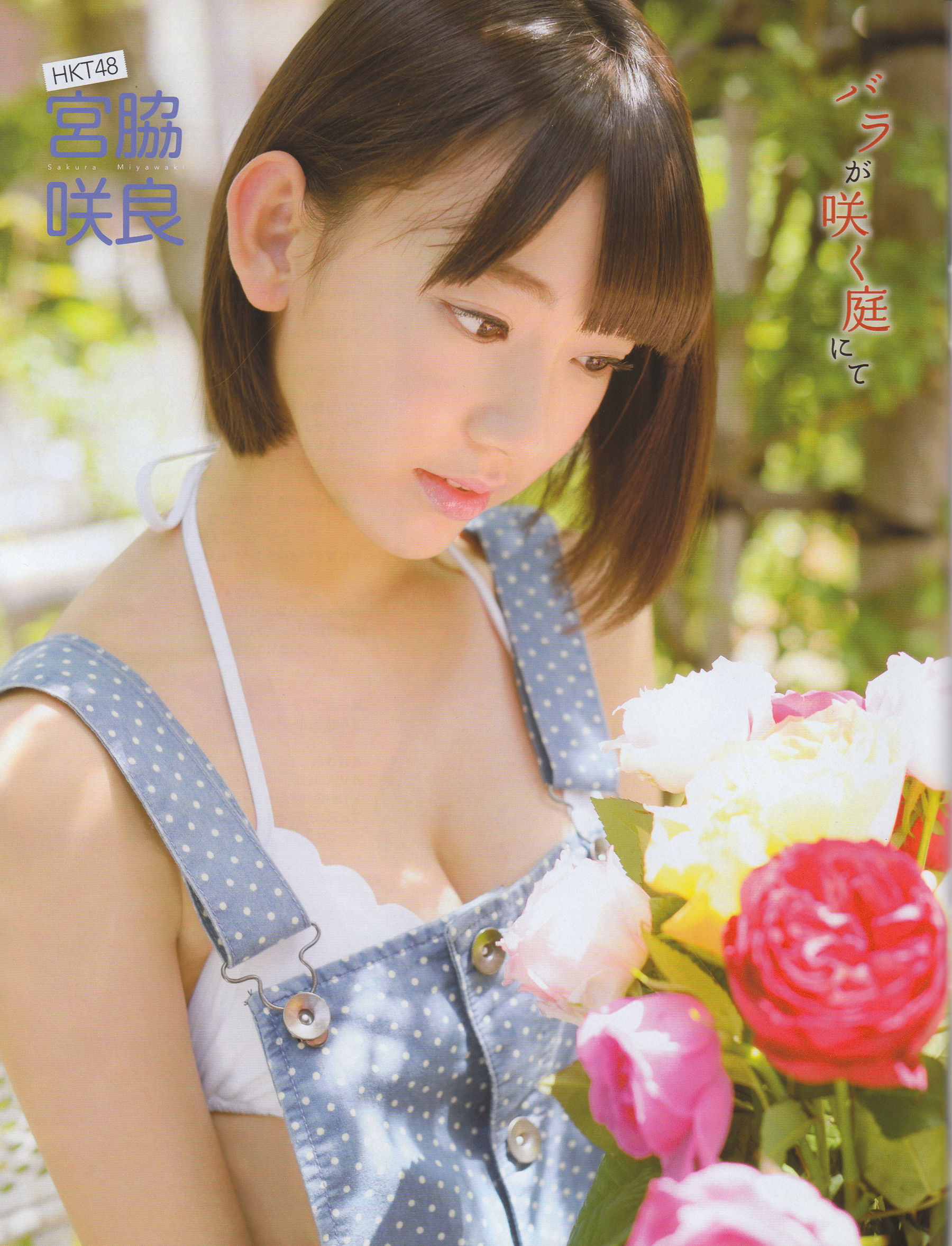 2014年No.06 横山由依 宮脇咲良 松村沙友理-图11