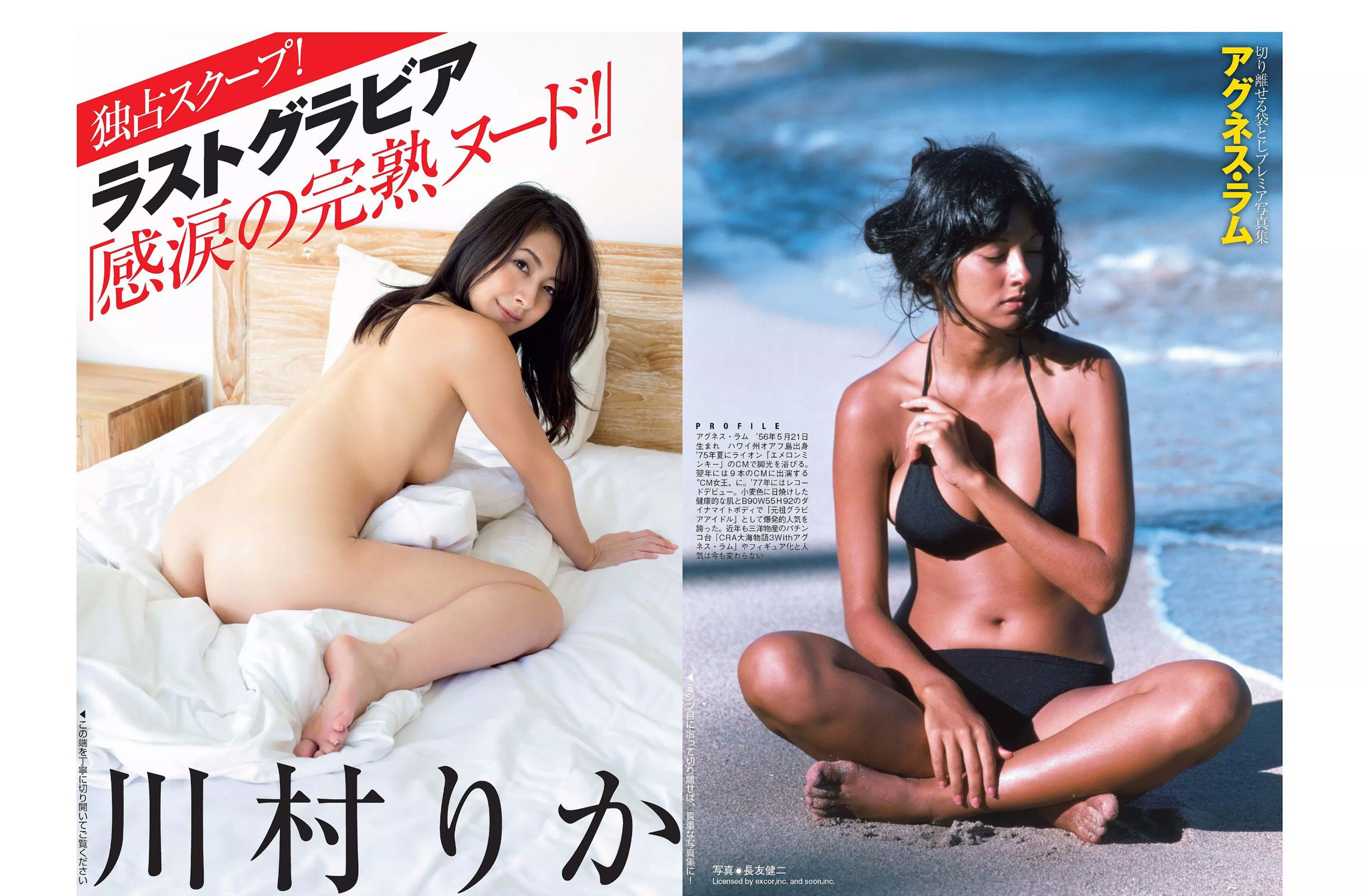 2015.11.10-17 橋本マナミ アグネス?ラム 川村りか 柳ゆり菜 山田菜々 紺野美沙子-图8