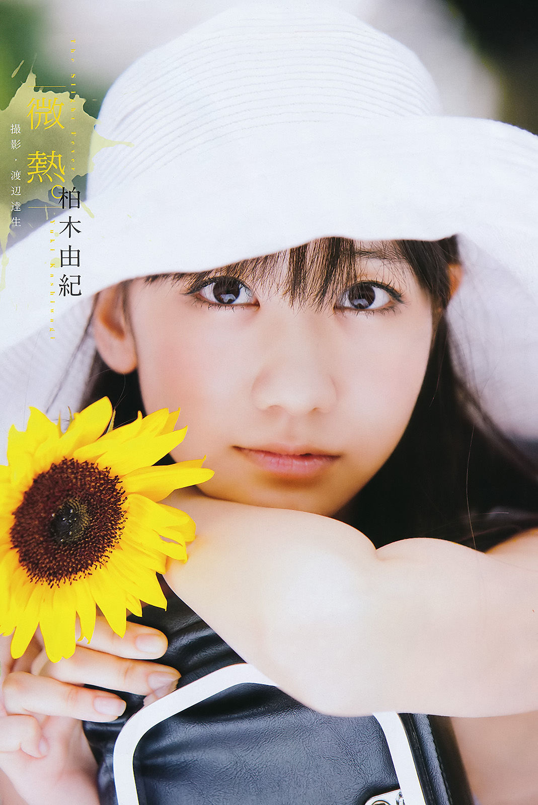 2011年No.36-37 柏木由紀-图1
