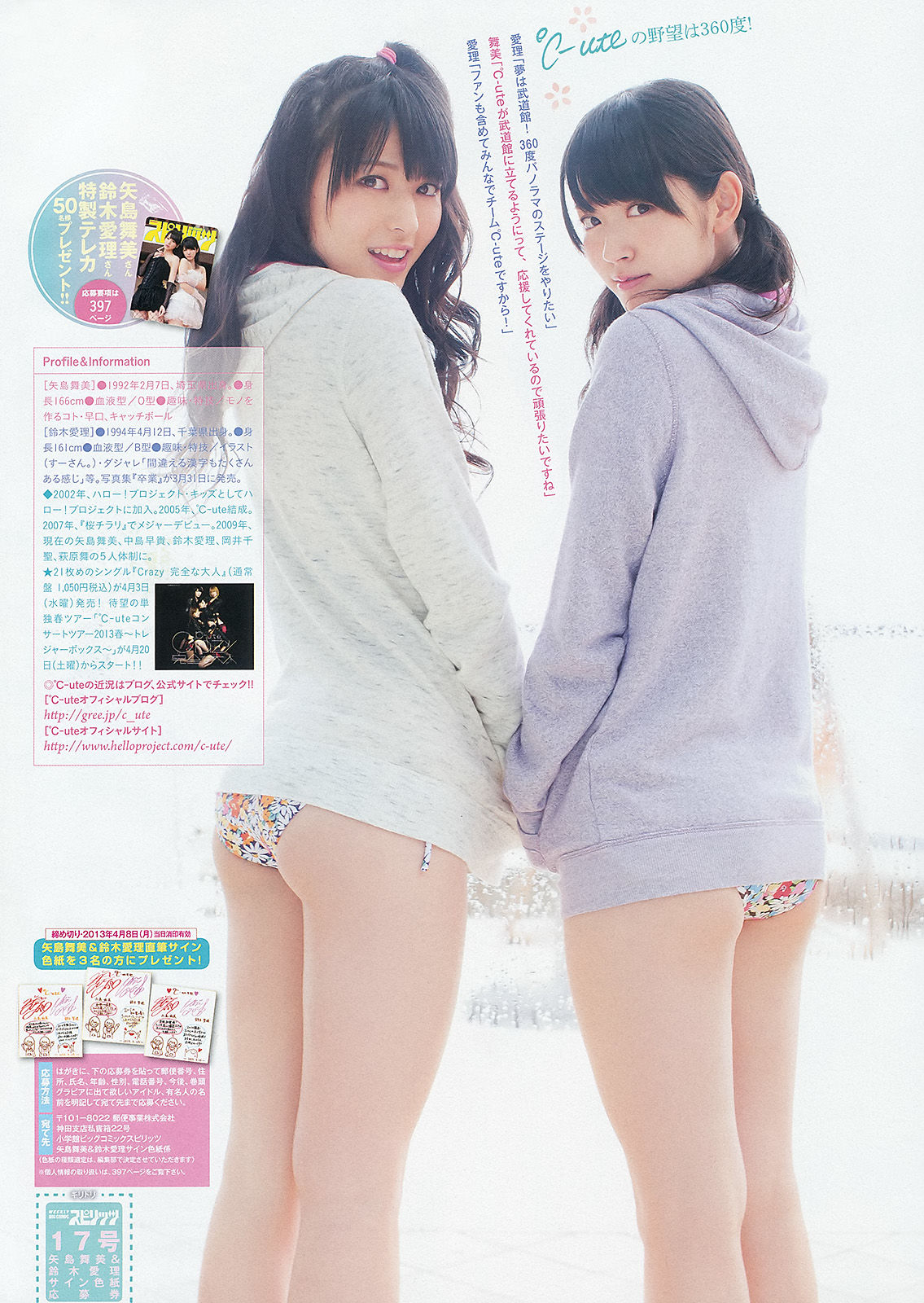 2013年No.17 鈴木愛理 矢島舞美-图6