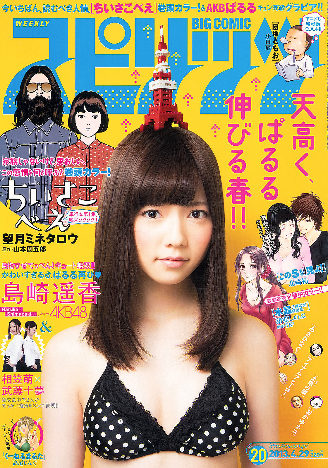 2013年No.20 岛崎遥香-图0