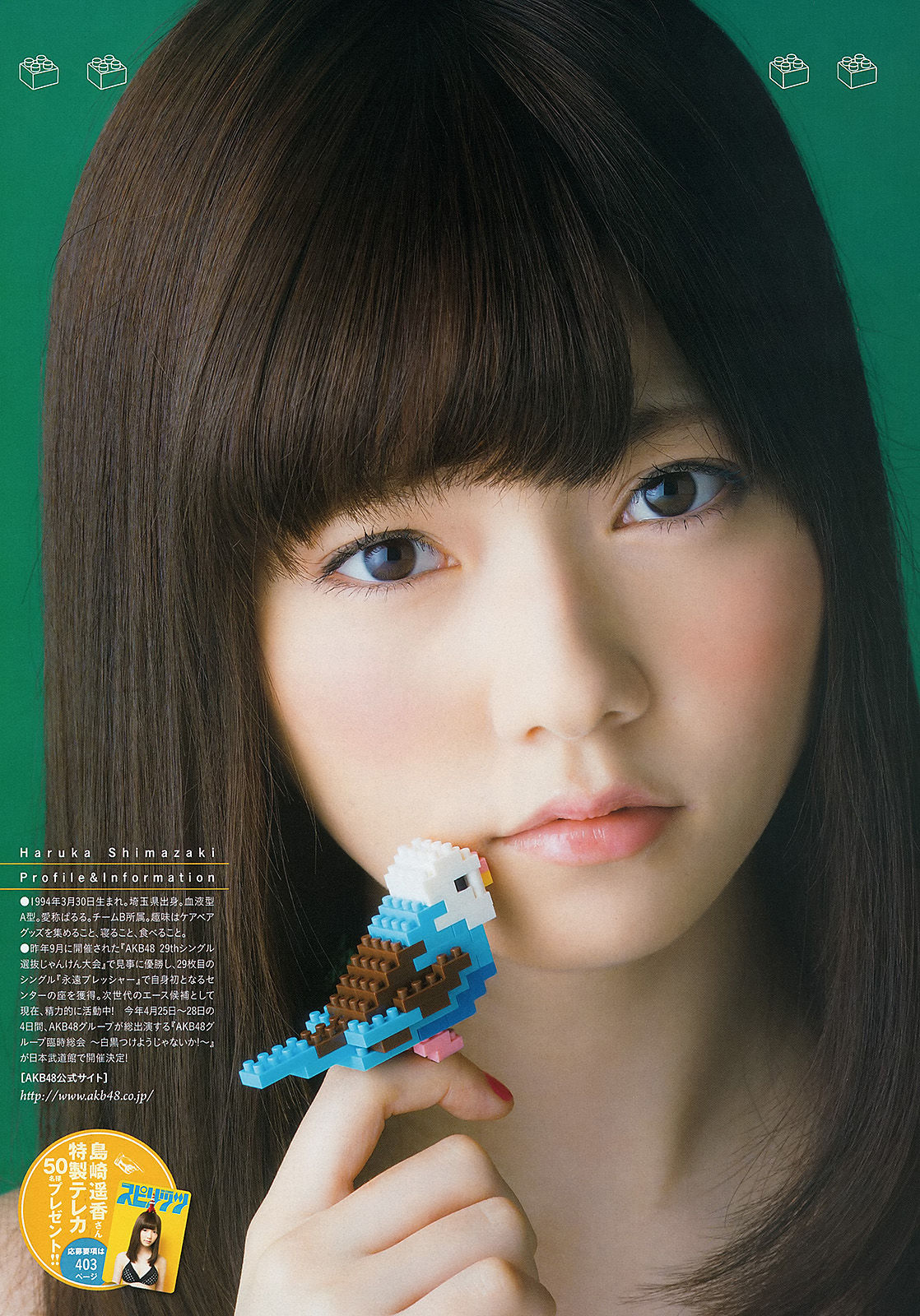 2013年No.20 岛崎遥香-图5