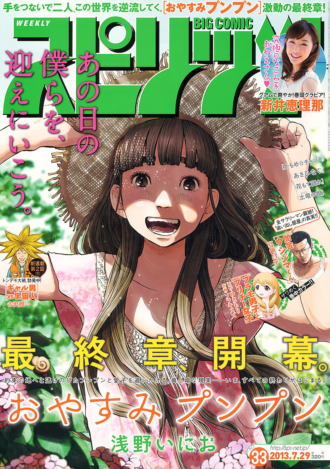 2013年No.33 新井恵理那-图0
