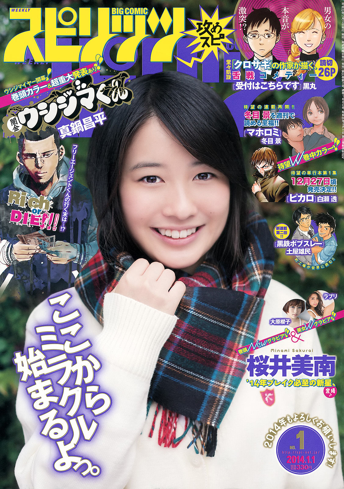 2014年No.01 桜井美南 大原櫻子-图0