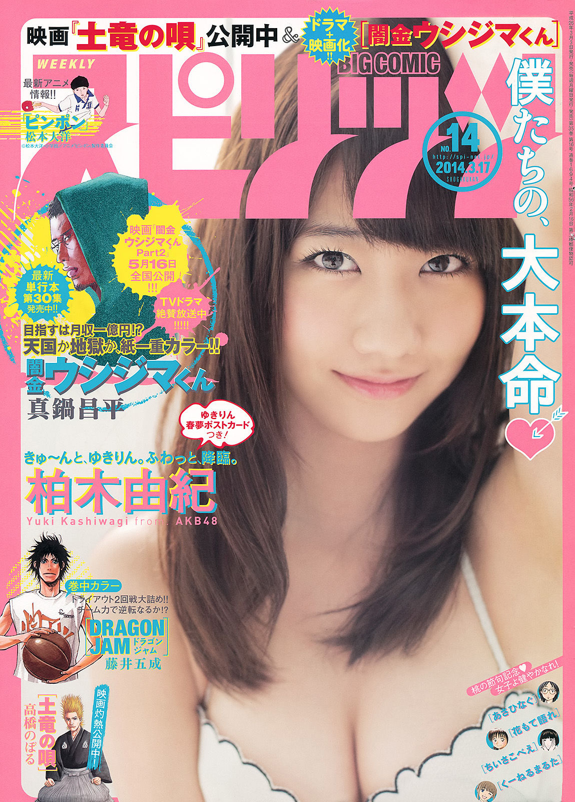 2014年No.14 柏木由紀-图0