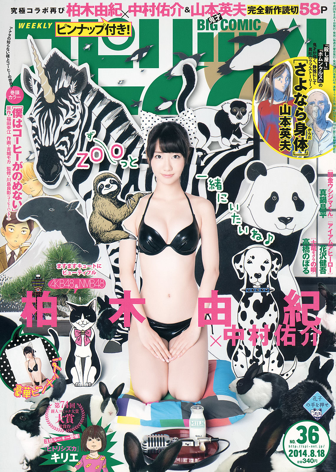 2014年No.36 柏木由紀-图0