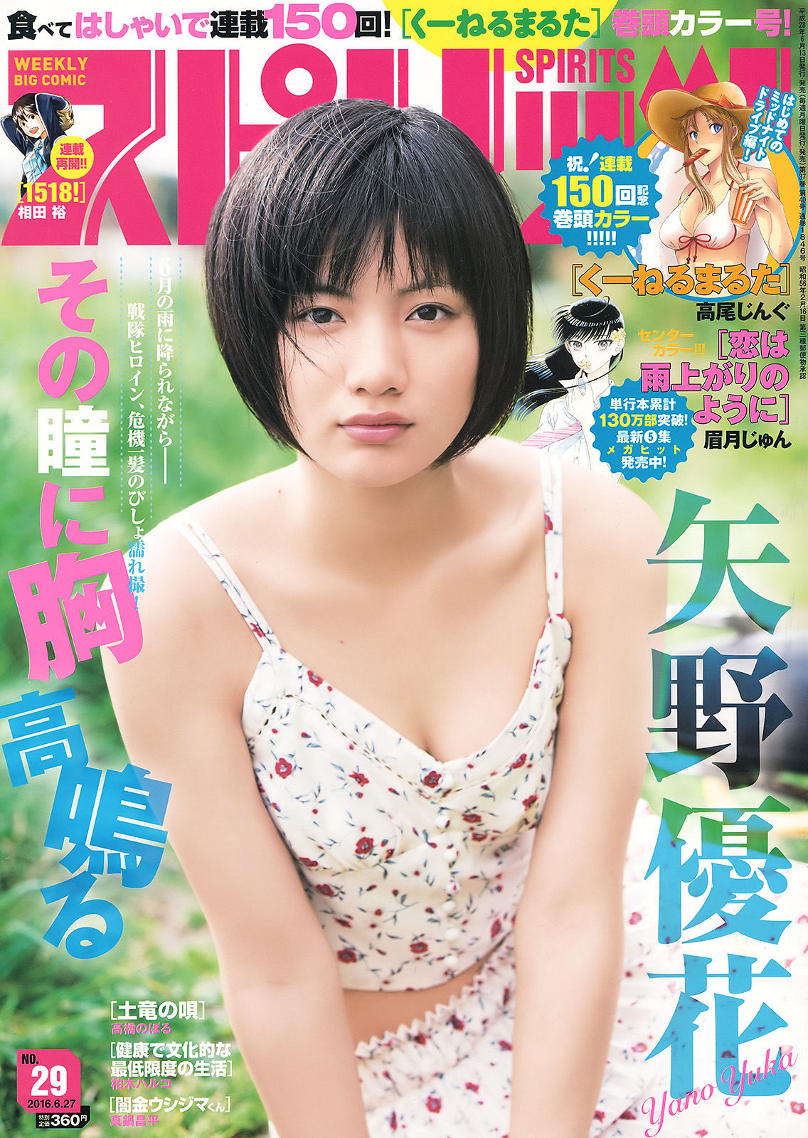 2016年No.29 矢野優花-图0